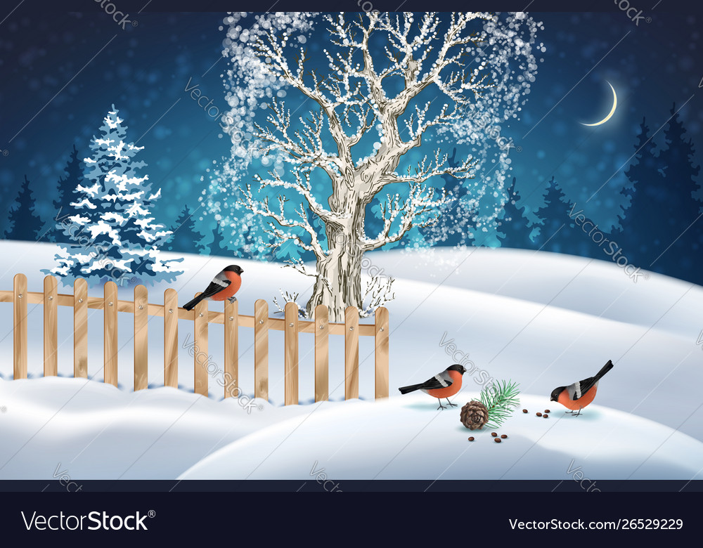 Christmas Winter Scenes Wallpapers