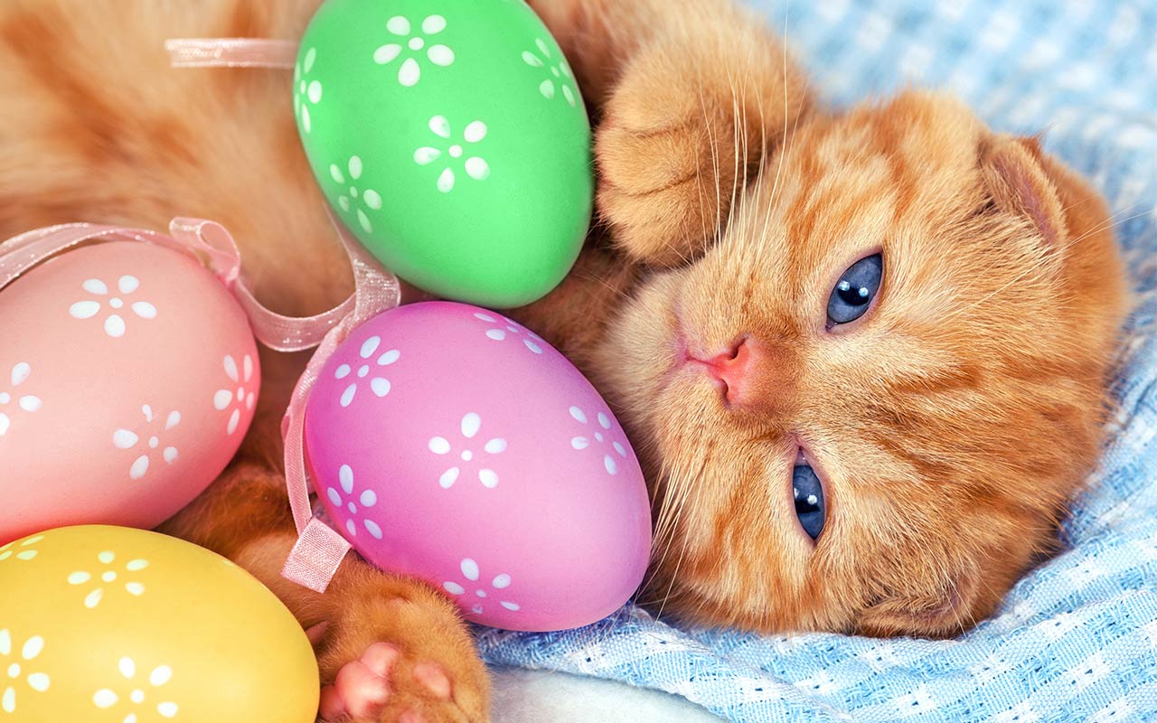 Easter Wallpapers