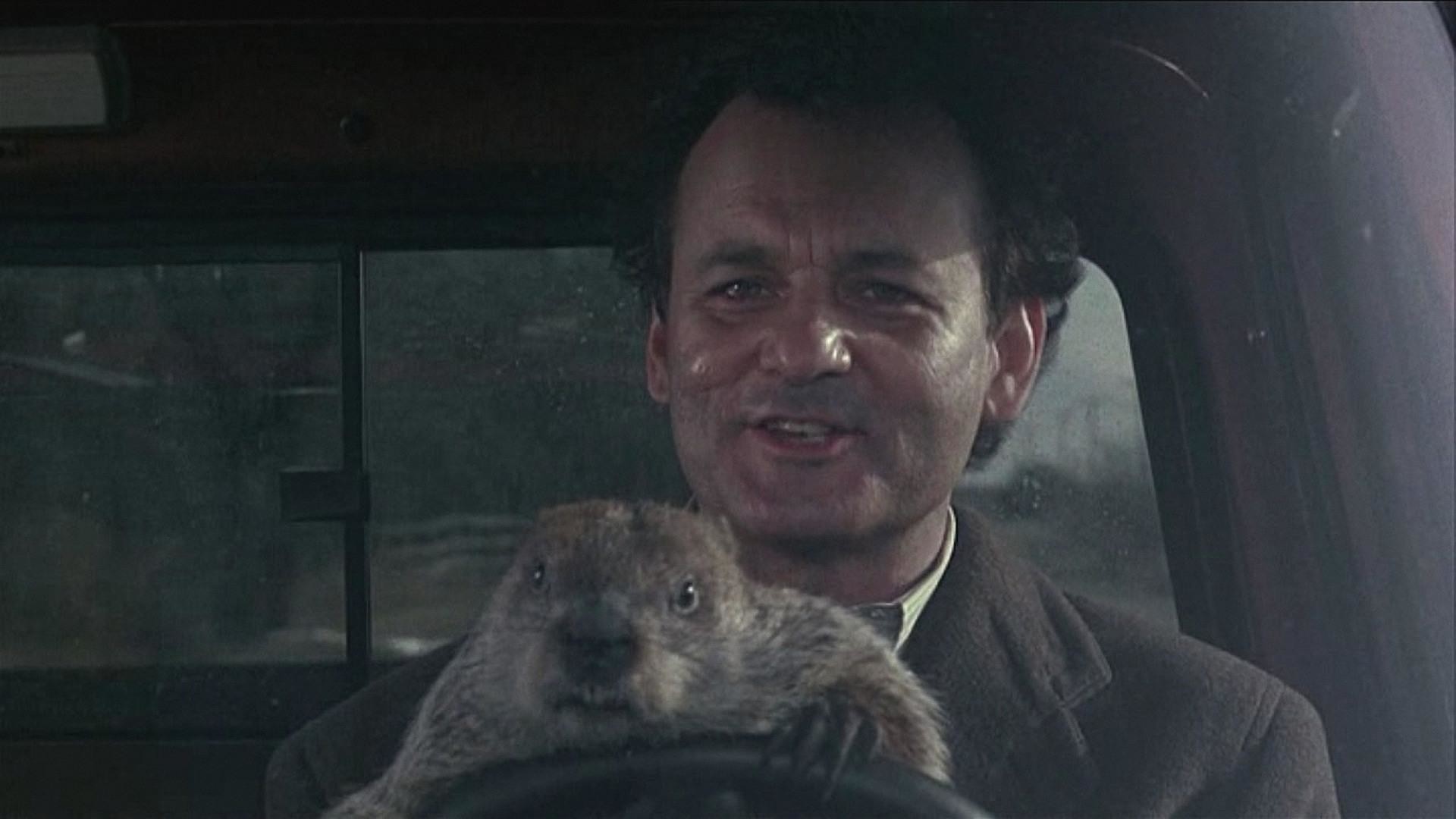 Groundhog Day Wallpapers