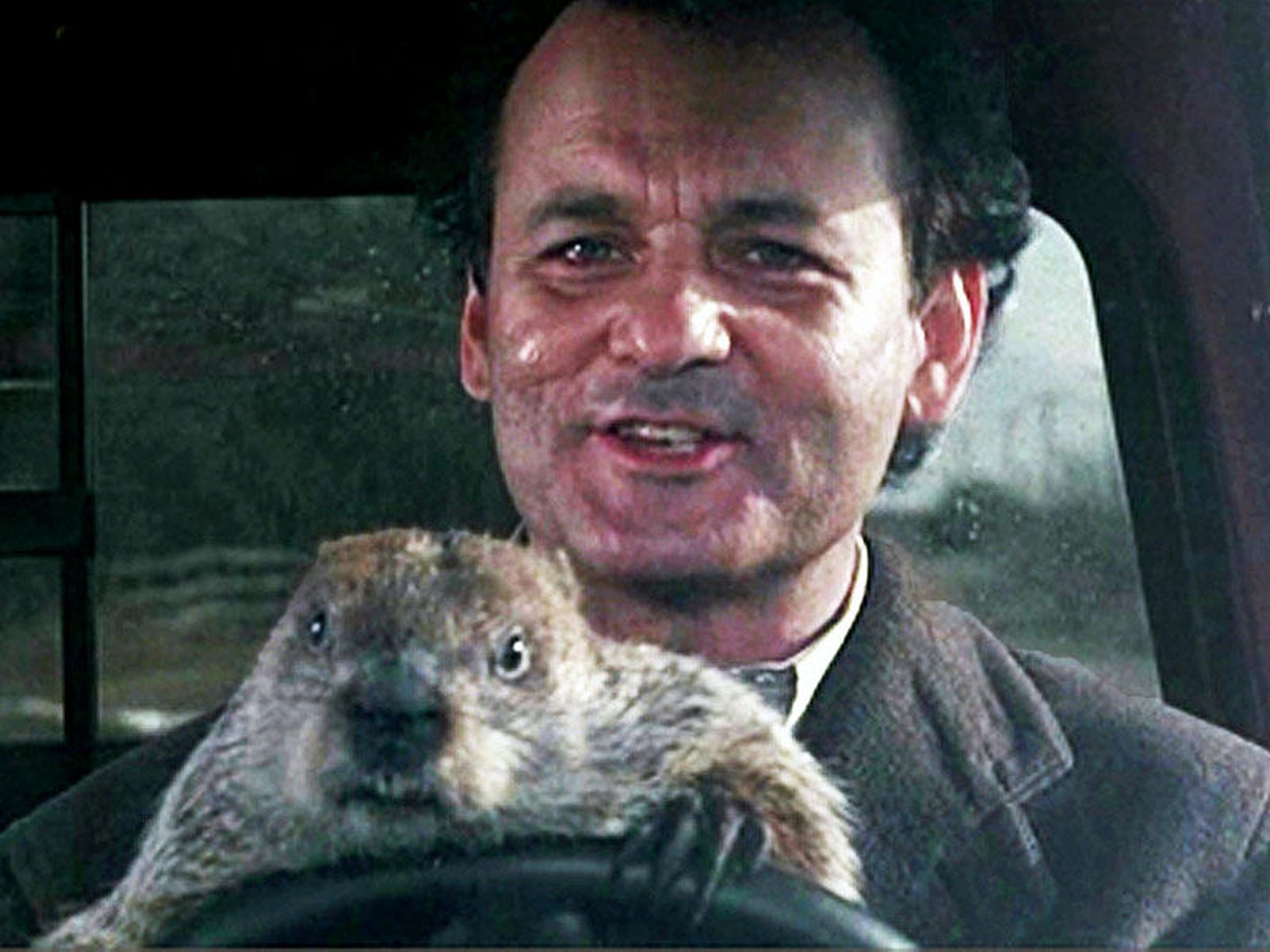 Groundhog Day Wallpapers