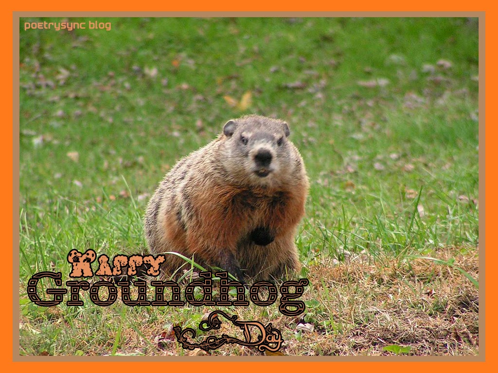 Groundhog Day Wallpapers