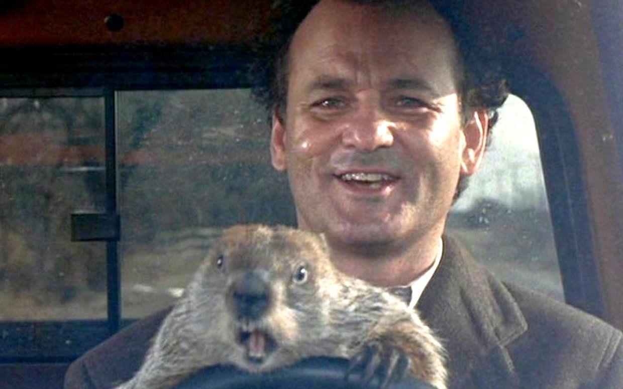 Groundhog Day Wallpapers