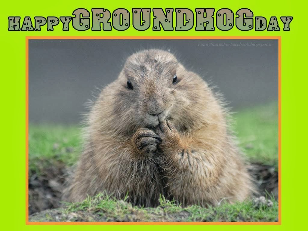 Groundhog Day Wallpapers