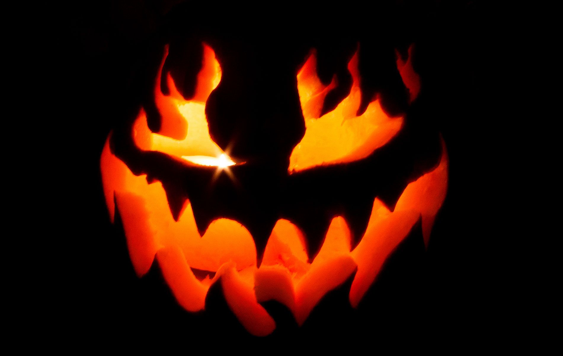 Halloween Scary Pumpkin Wallpapers