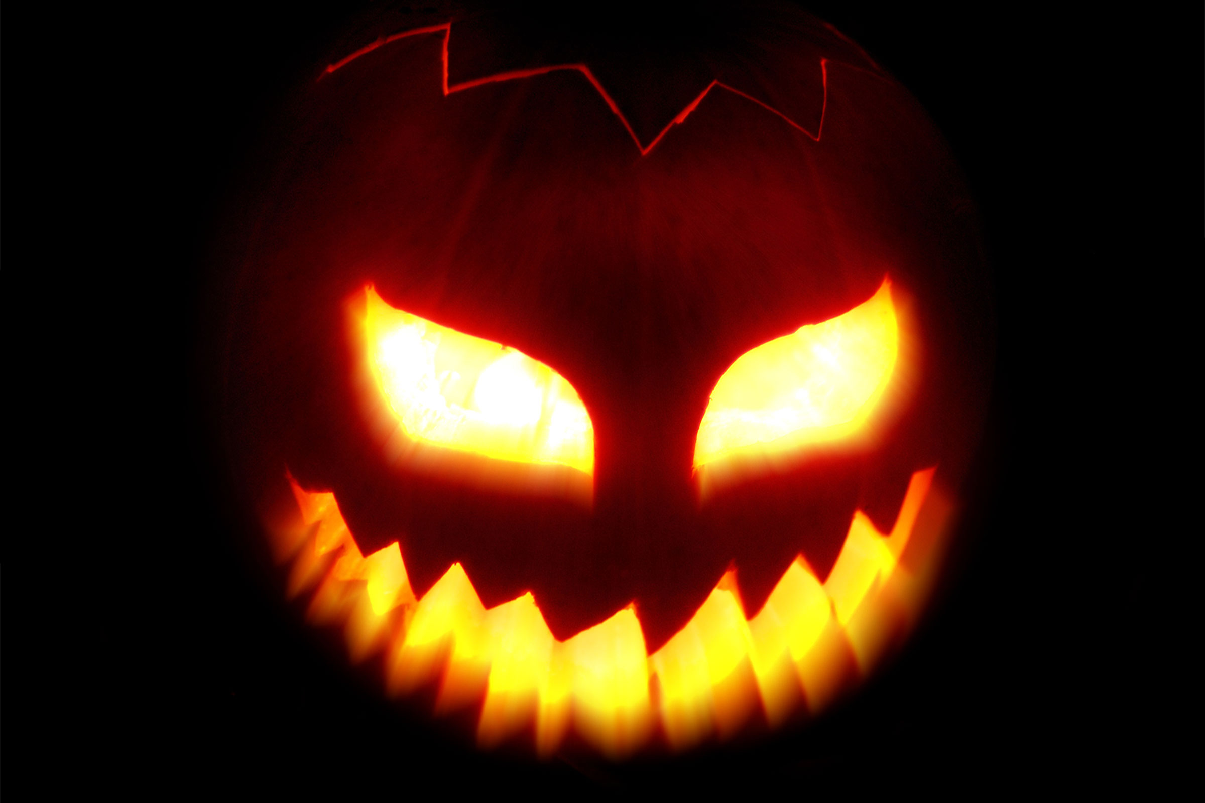 Halloween Scary Pumpkin Wallpapers