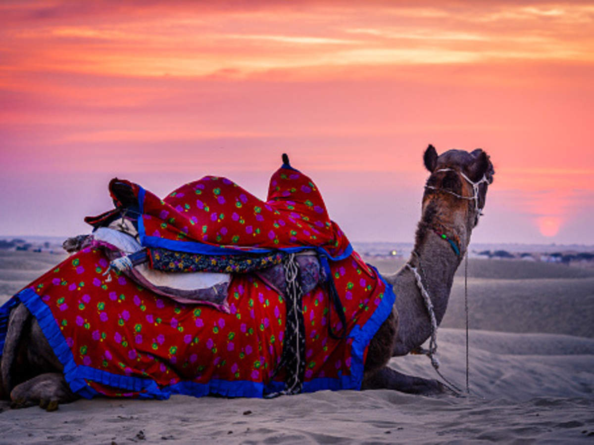 Jaisalmer Desert Festival Wallpapers