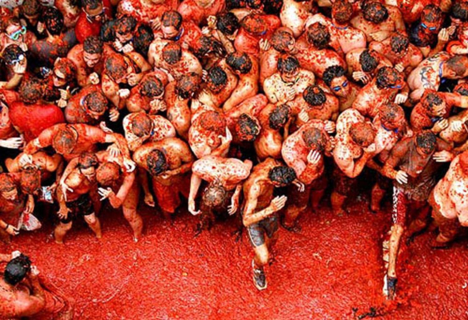 La Tomatina Wallpapers