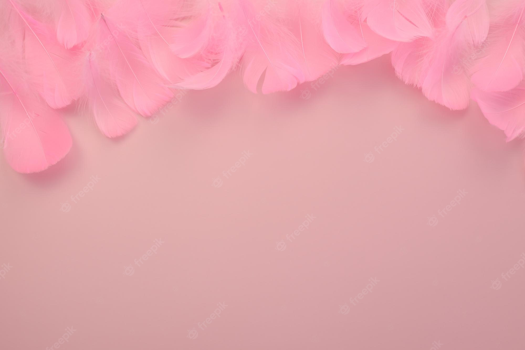 Pink Day Wallpapers