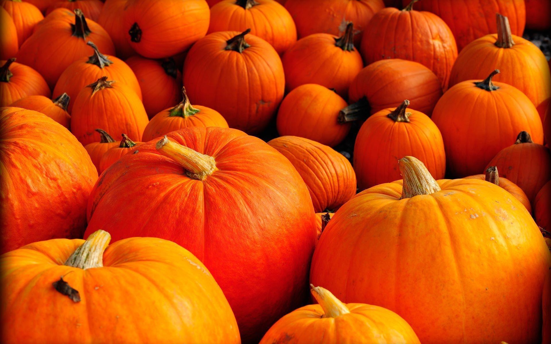 Pumpkins Wallpapers