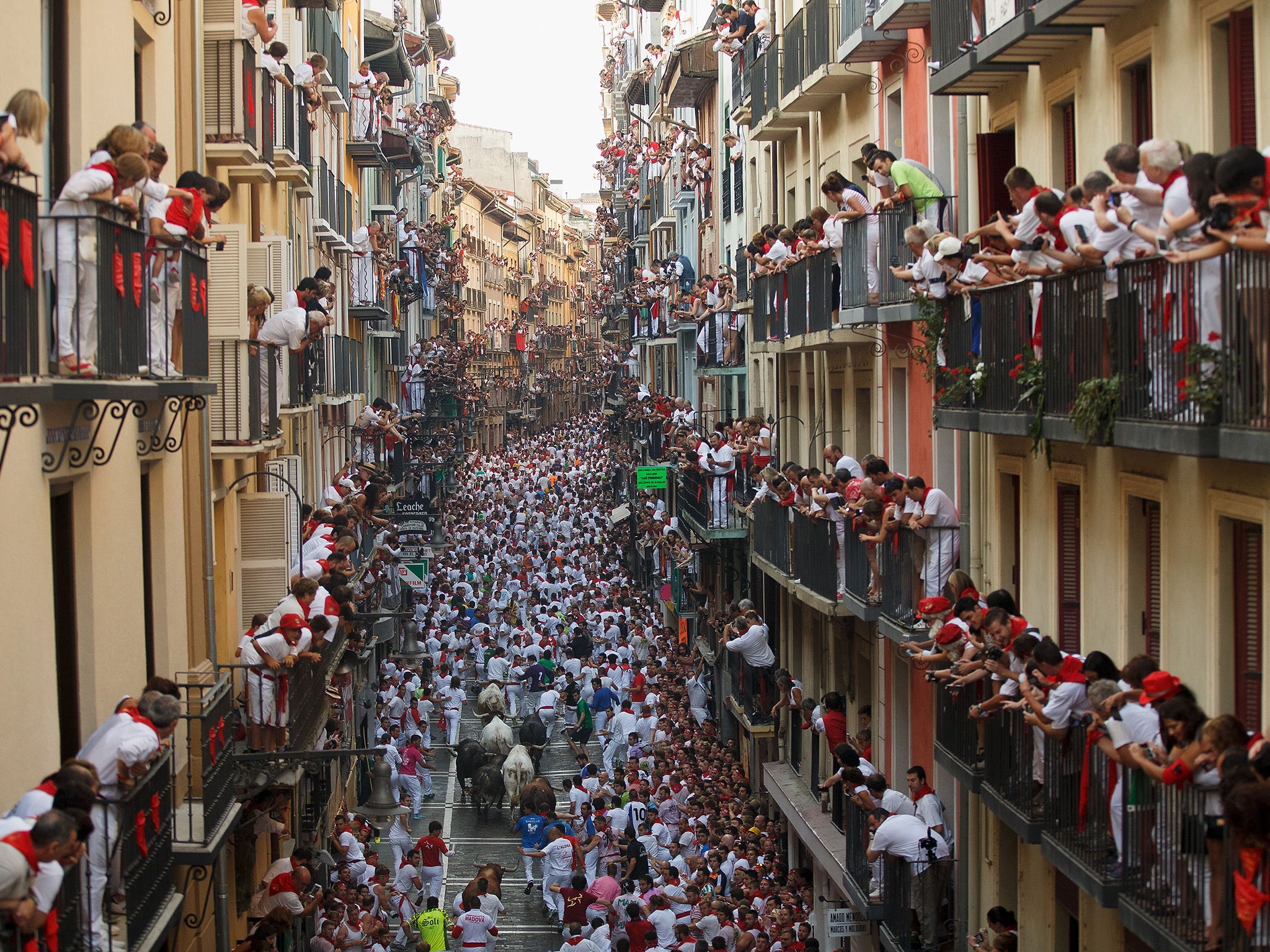 Running Of The Bulls Wallpapers