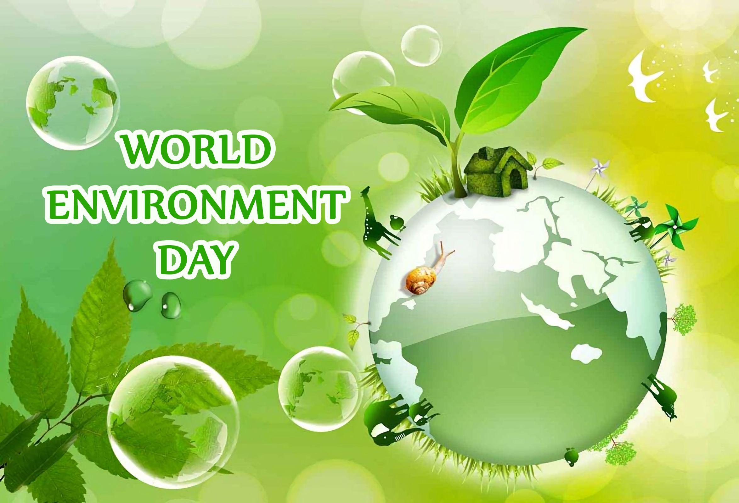 World Environment Day Wallpapers