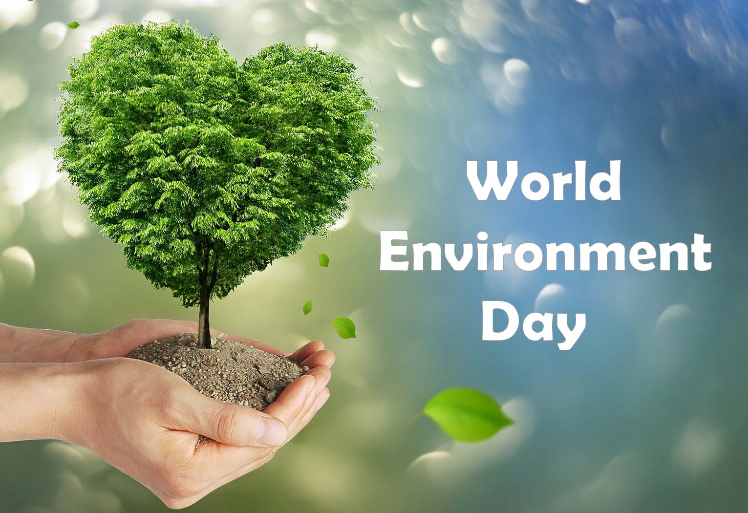 World Environment Day Wallpapers