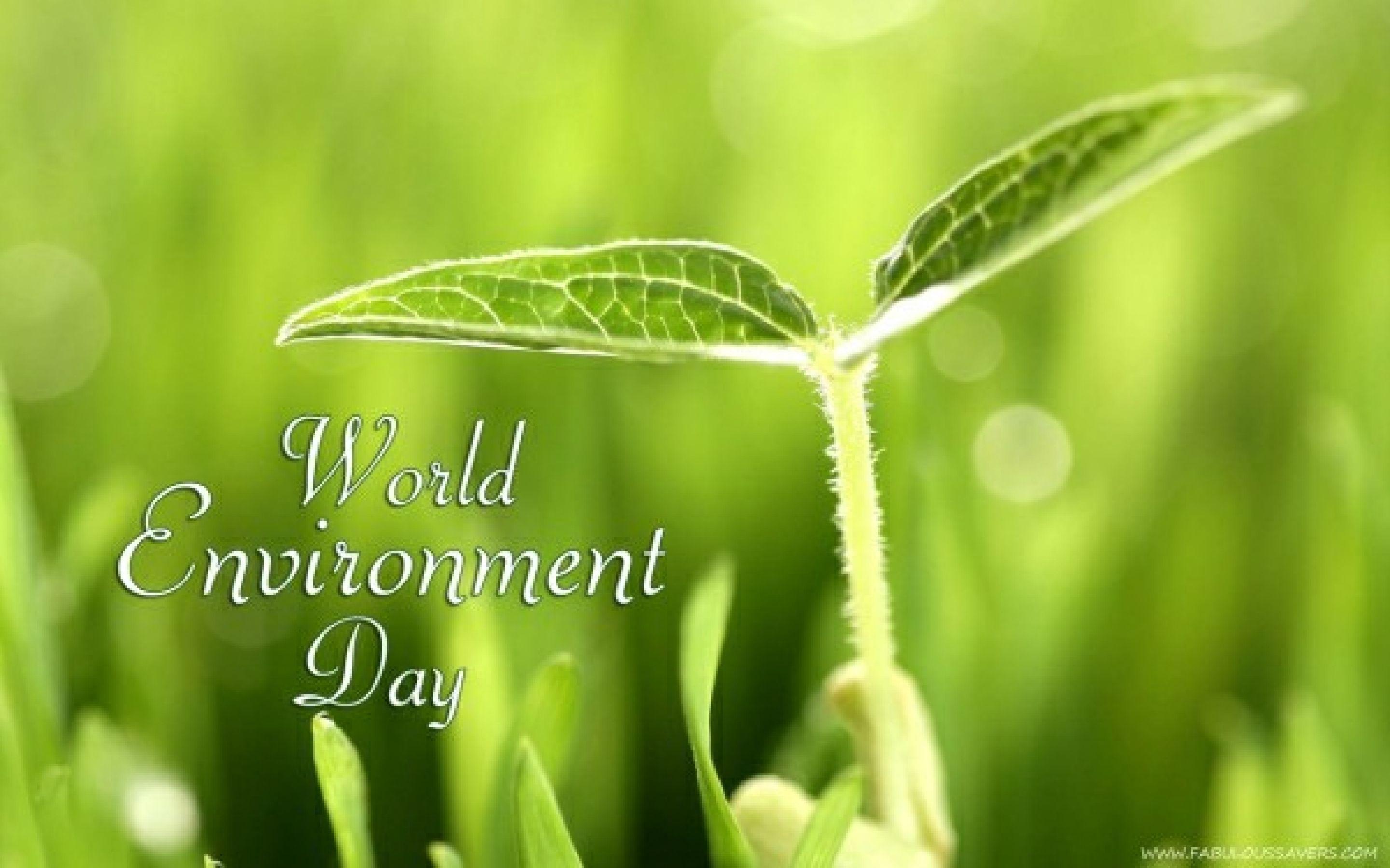 World Environment Day Wallpapers