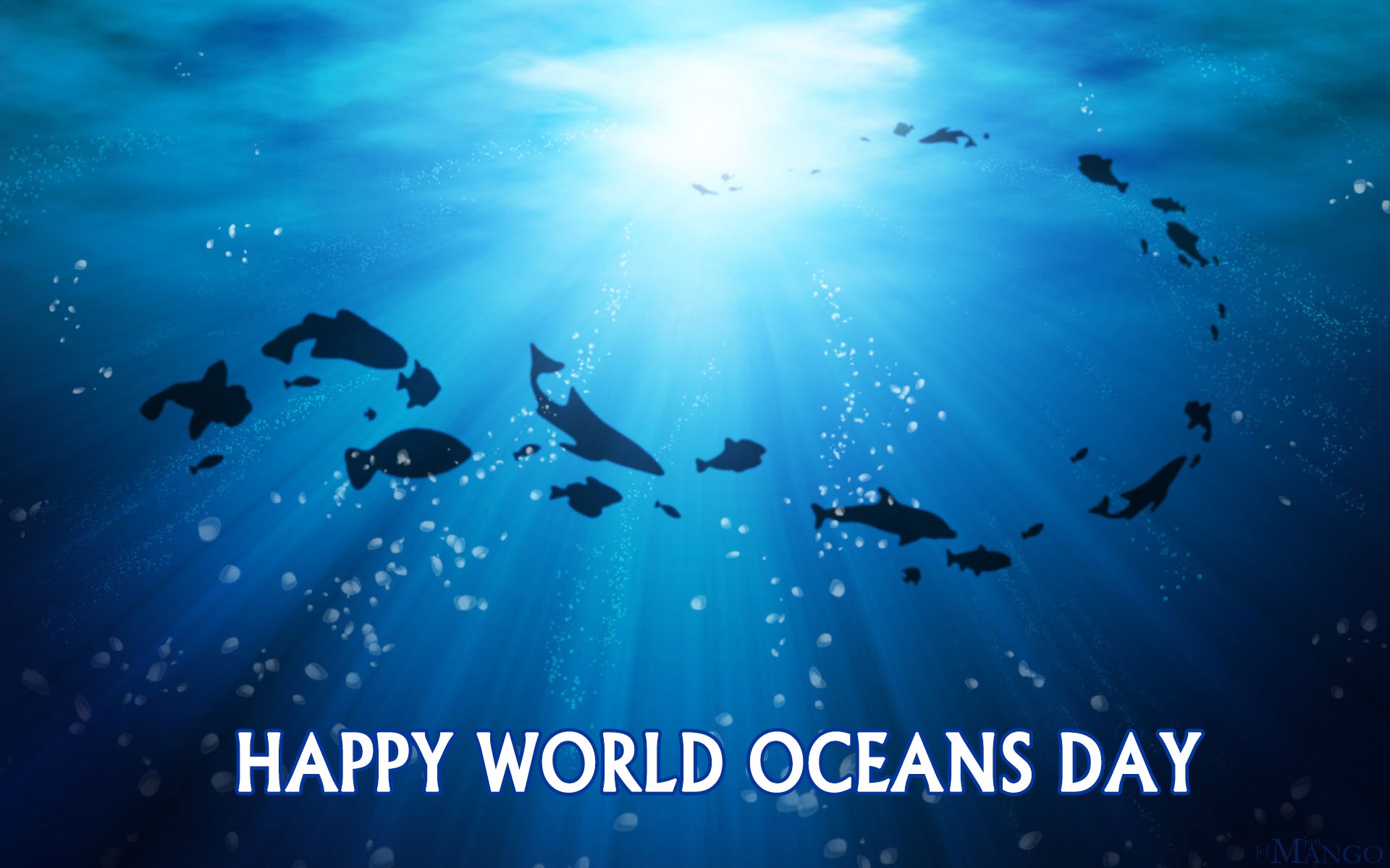 World Oceans Day Wallpapers