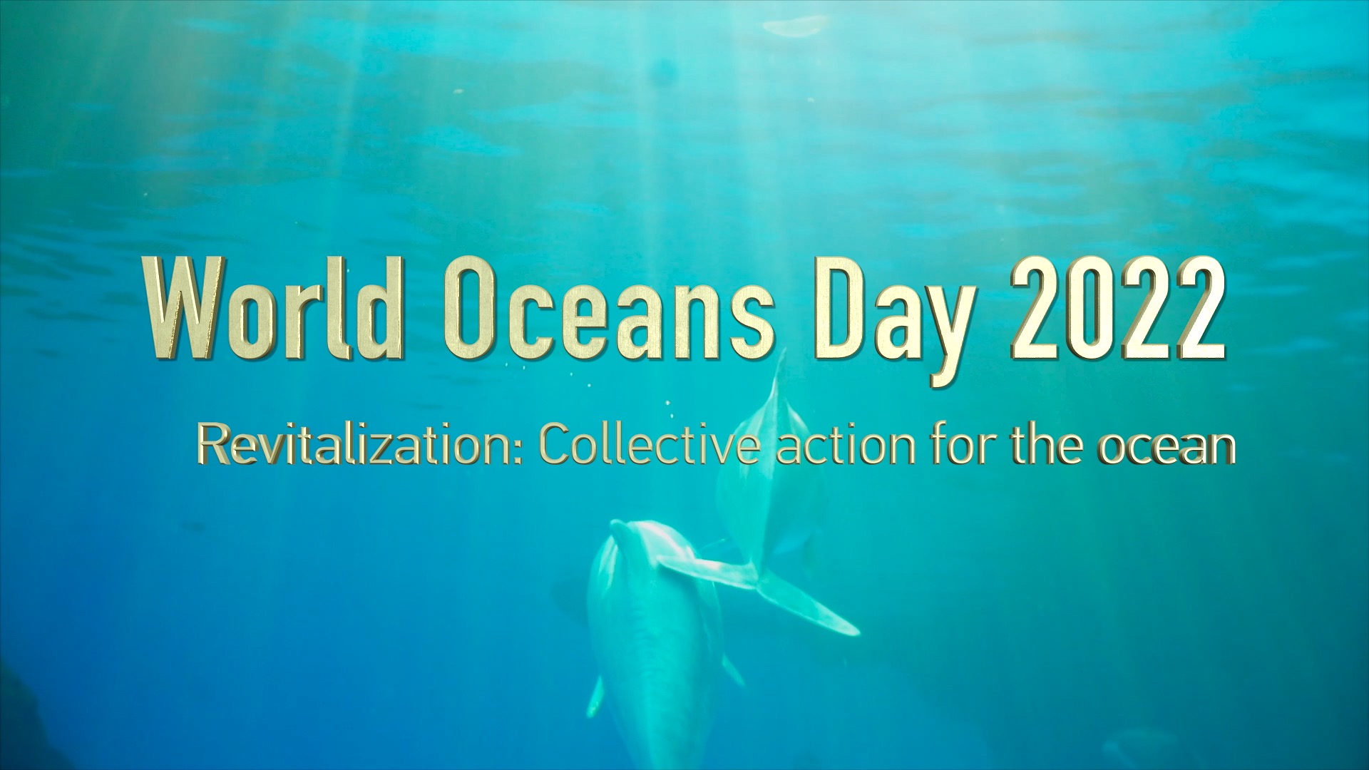 World Oceans Day Wallpapers