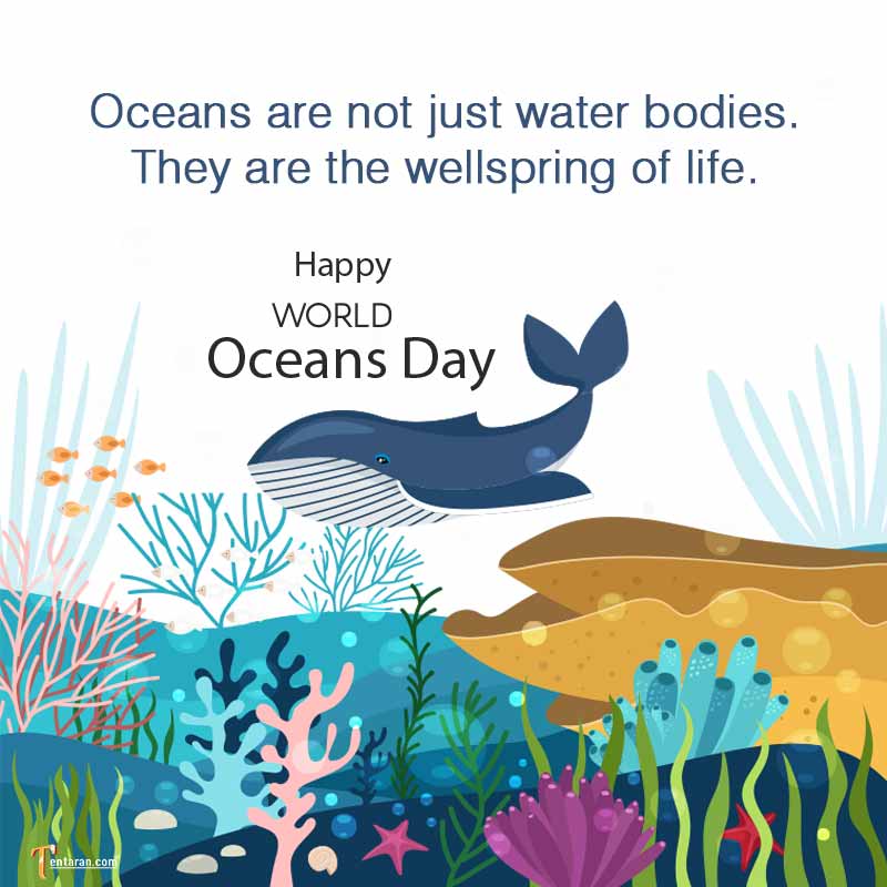 World Oceans Day Wallpapers