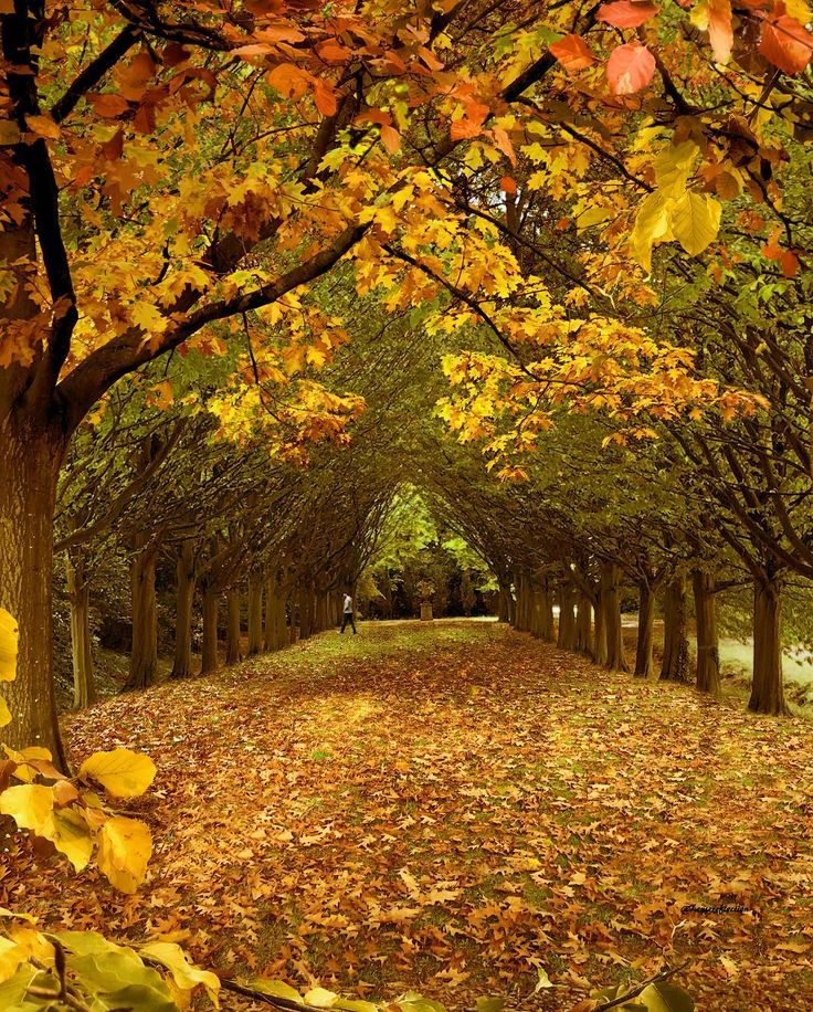 Anglesey Abbey Wallpapers