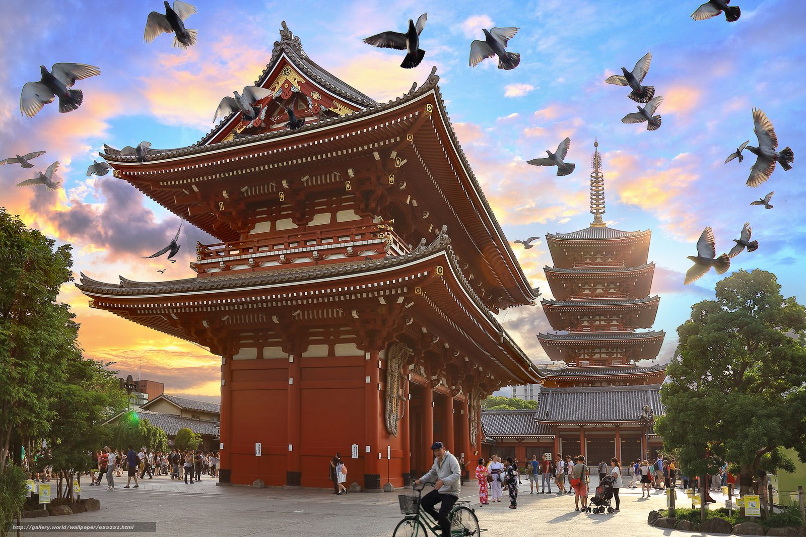 Asakusa Kannon Temple Wallpapers