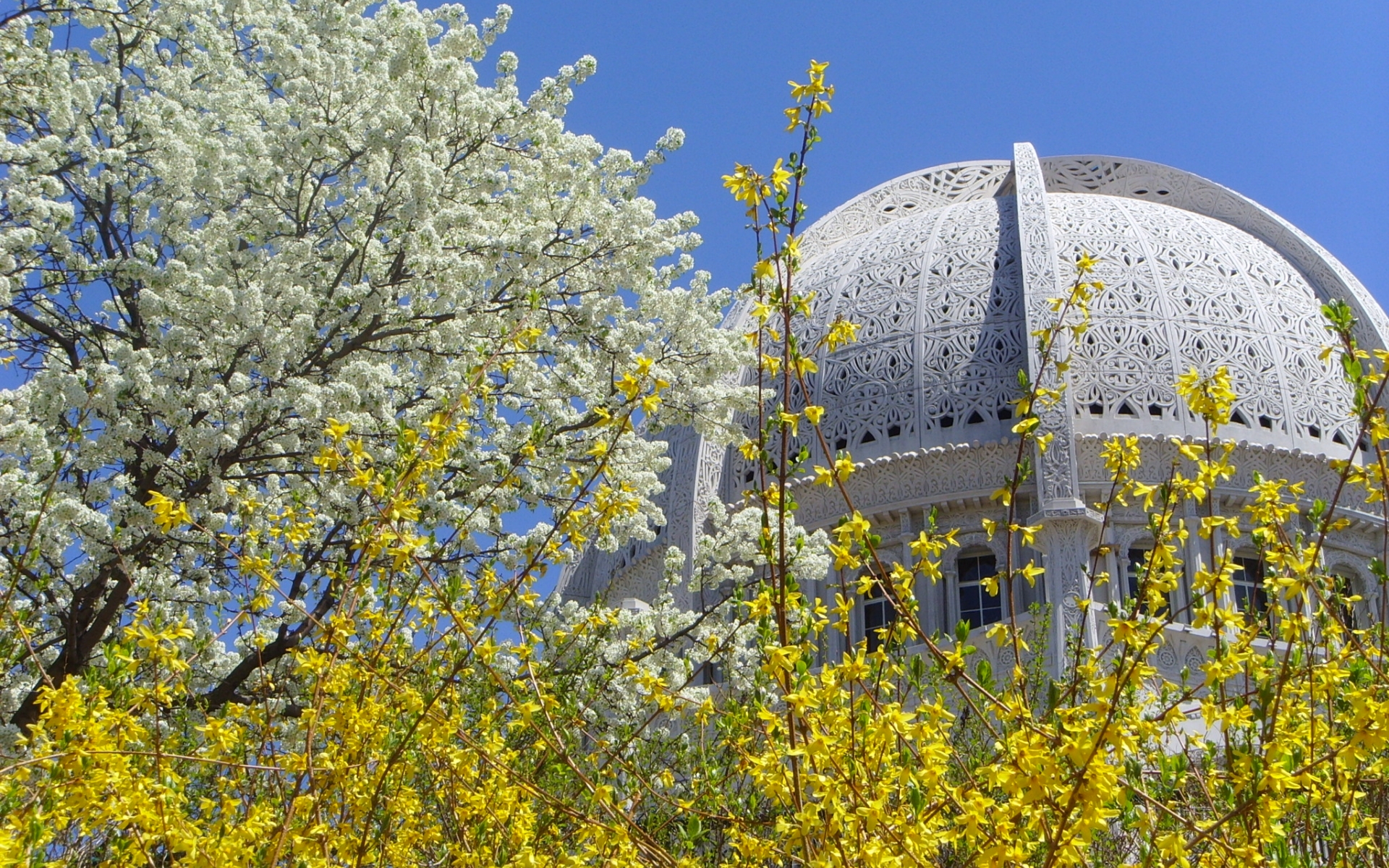 Baha'I Temple Wallpapers