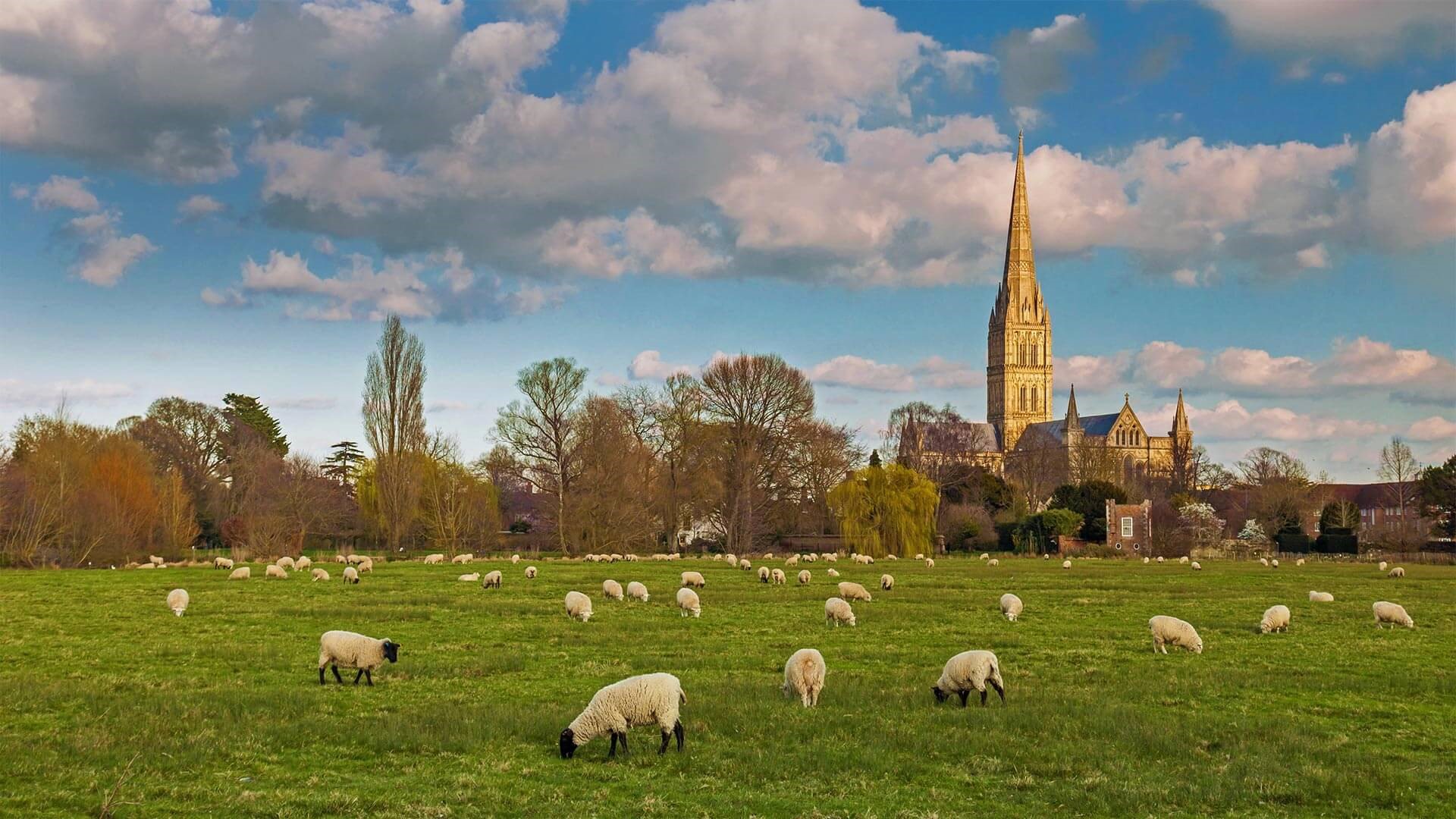 Cathedral Salisbury Wallpapers