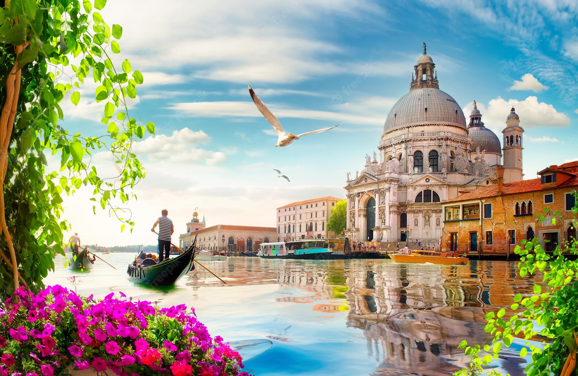 Cathedral Santa Maria Della Salute Wallpapers