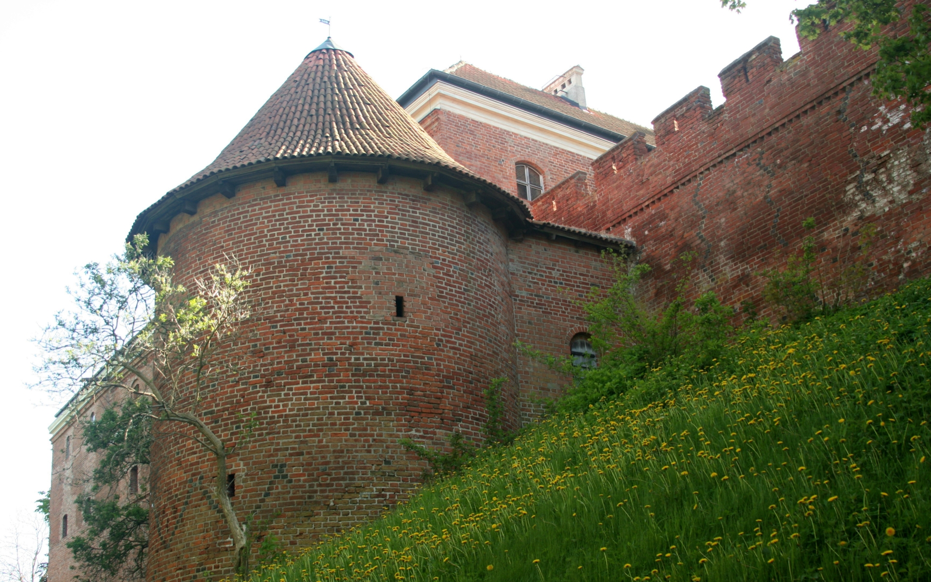 Frombork Cathedral Wallpapers