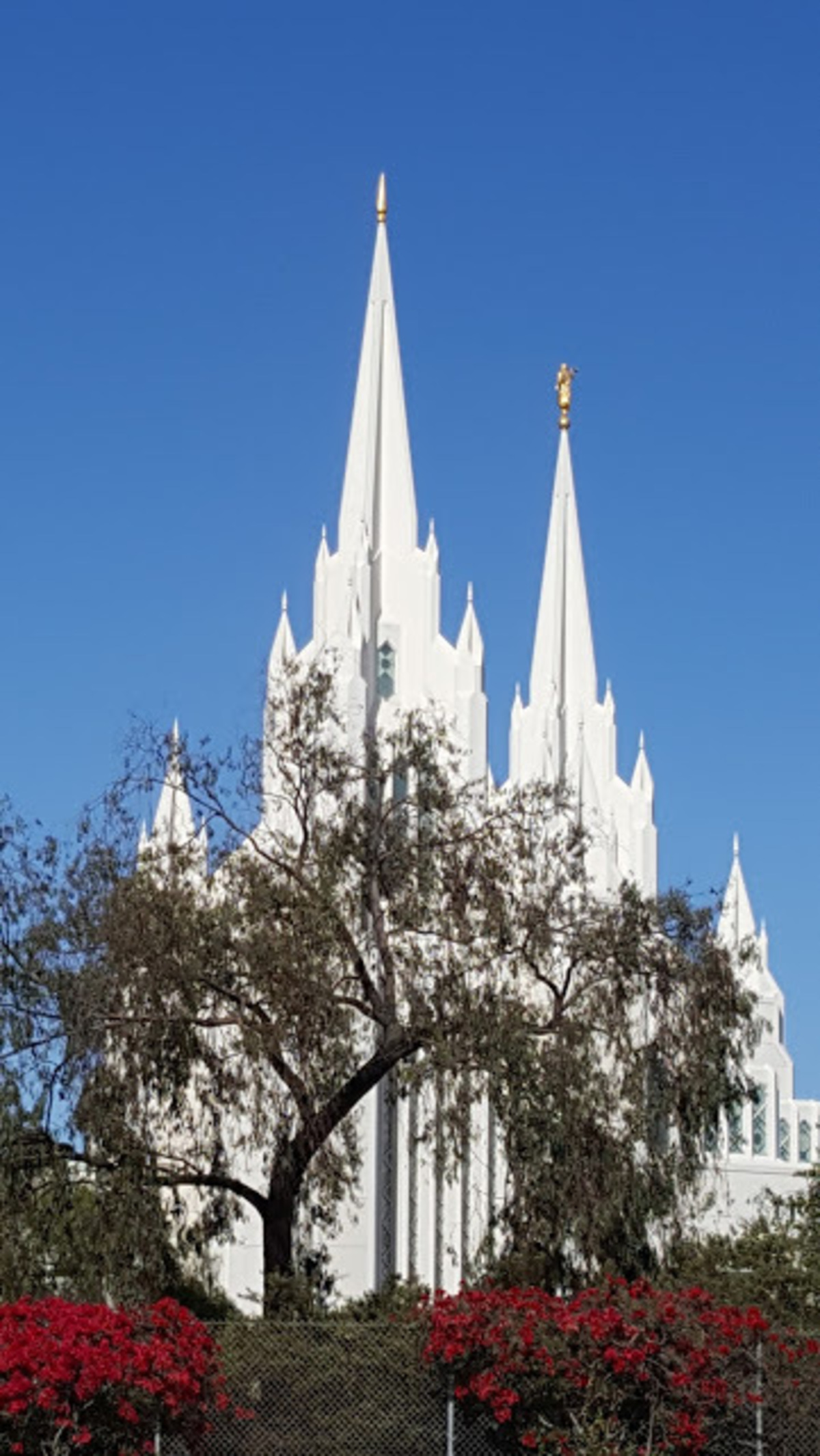 San Diego California Temple Wallpapers