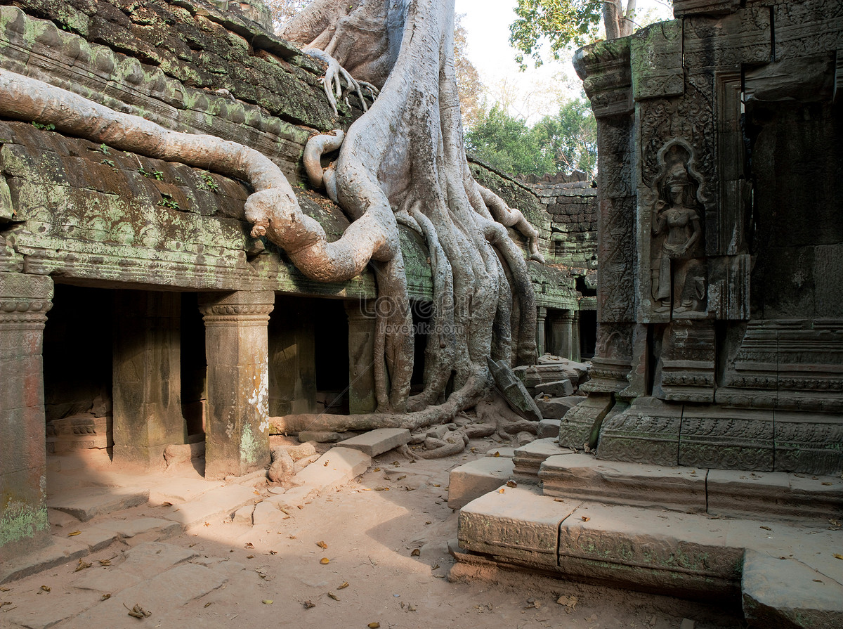 Ta Prohm Wallpapers