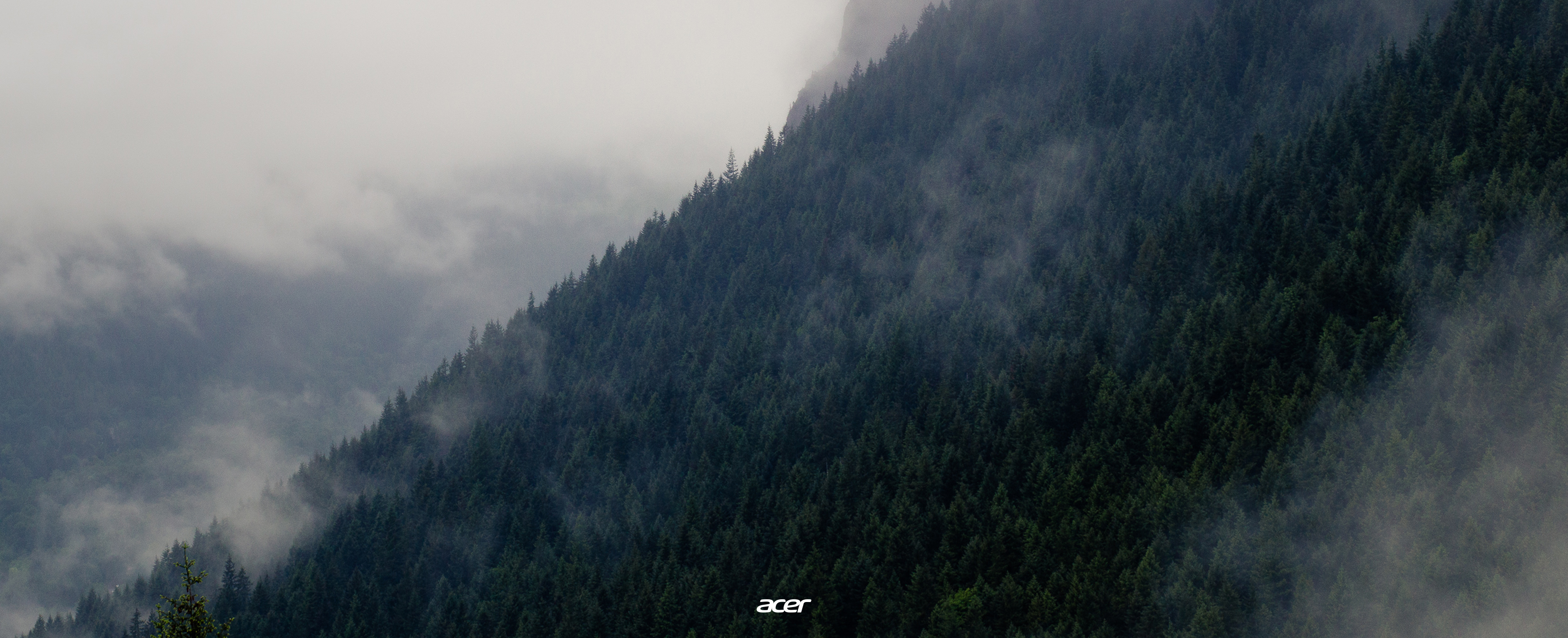 Acer Wallpapers