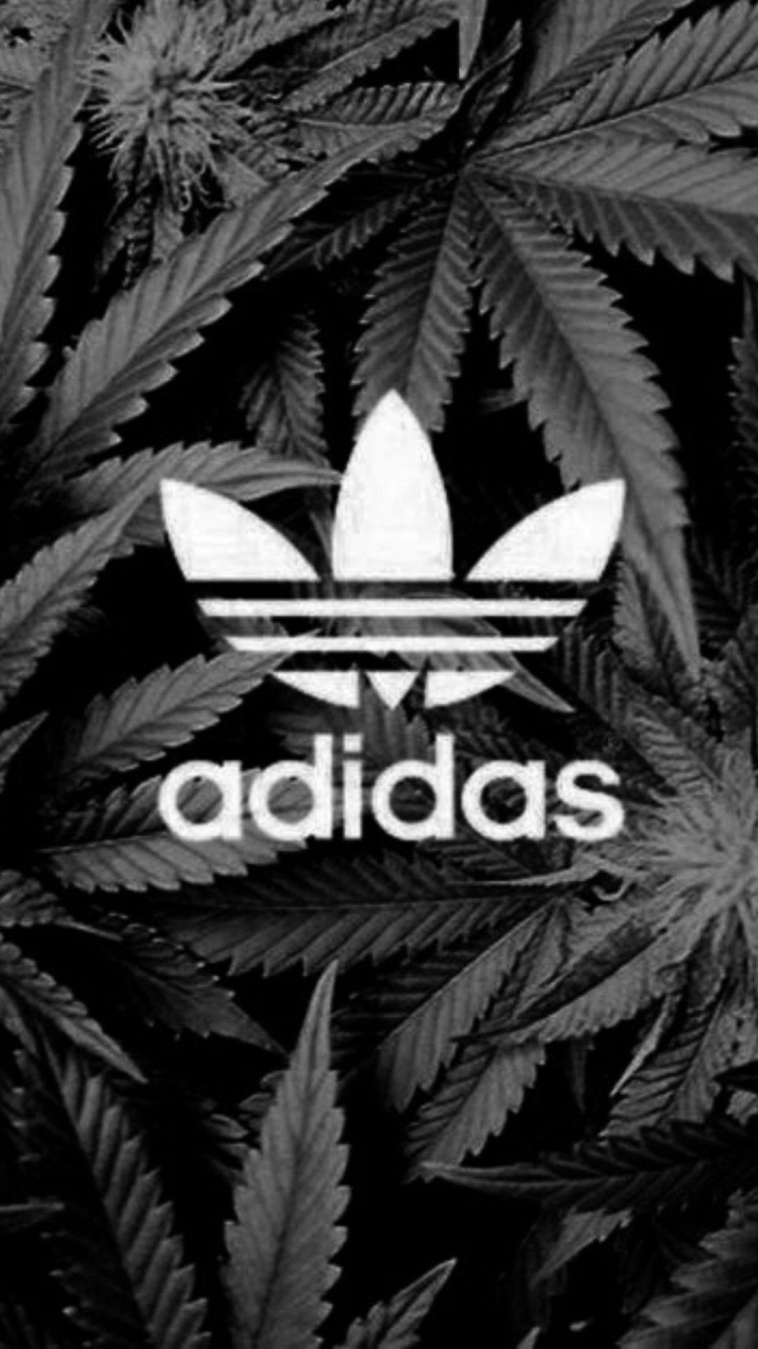 Adidas Bape Dope Wallpapers