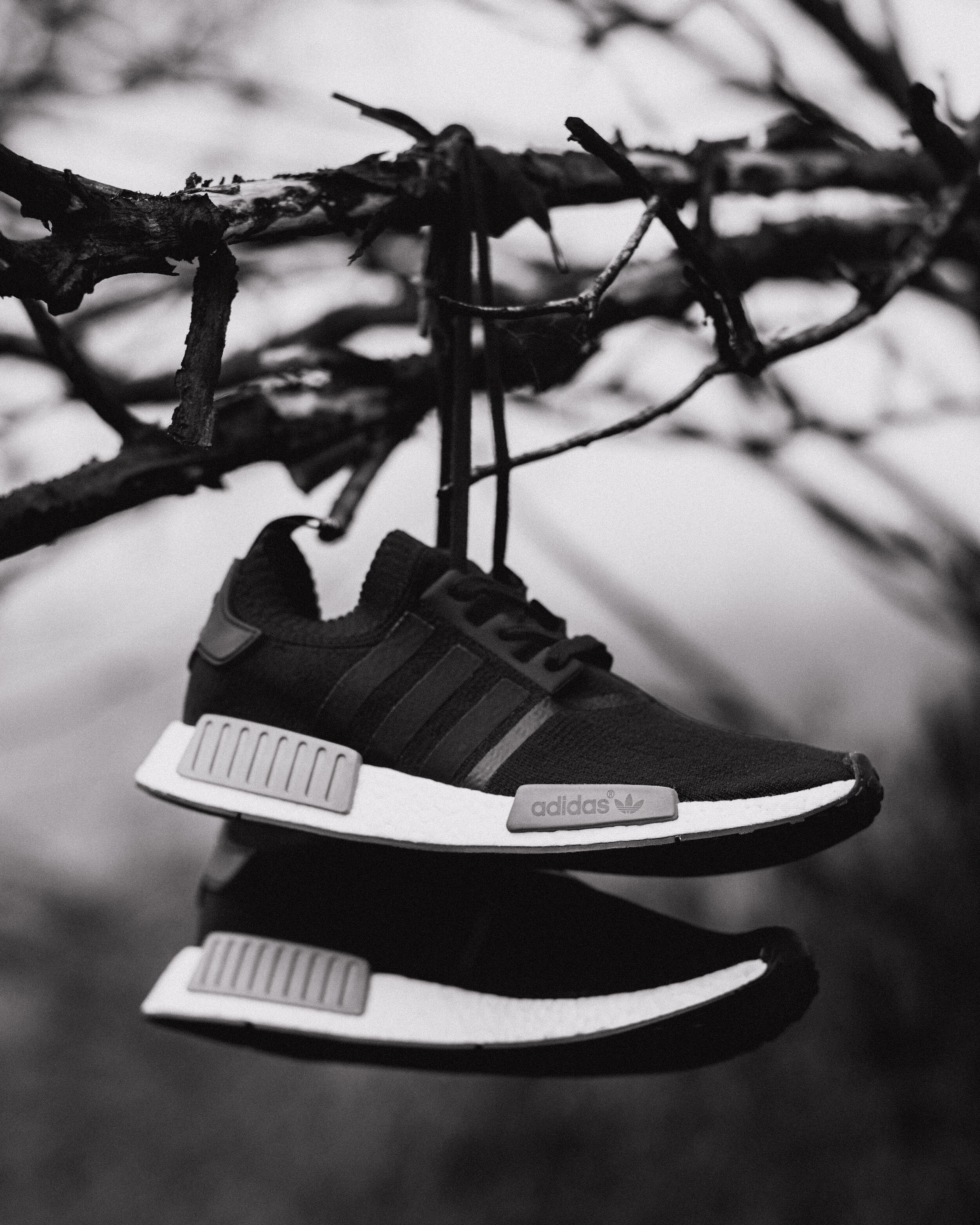 Adidas Nmd Wallpapers