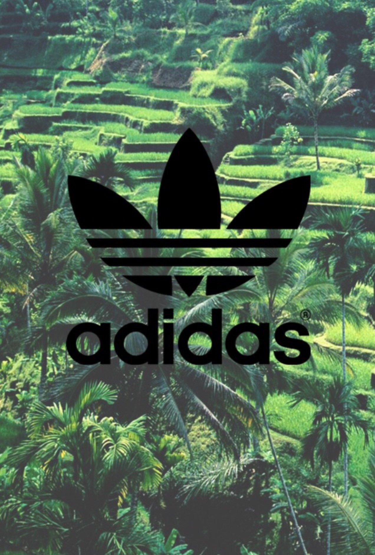 Adidas Tumblr Computer Wallpapers