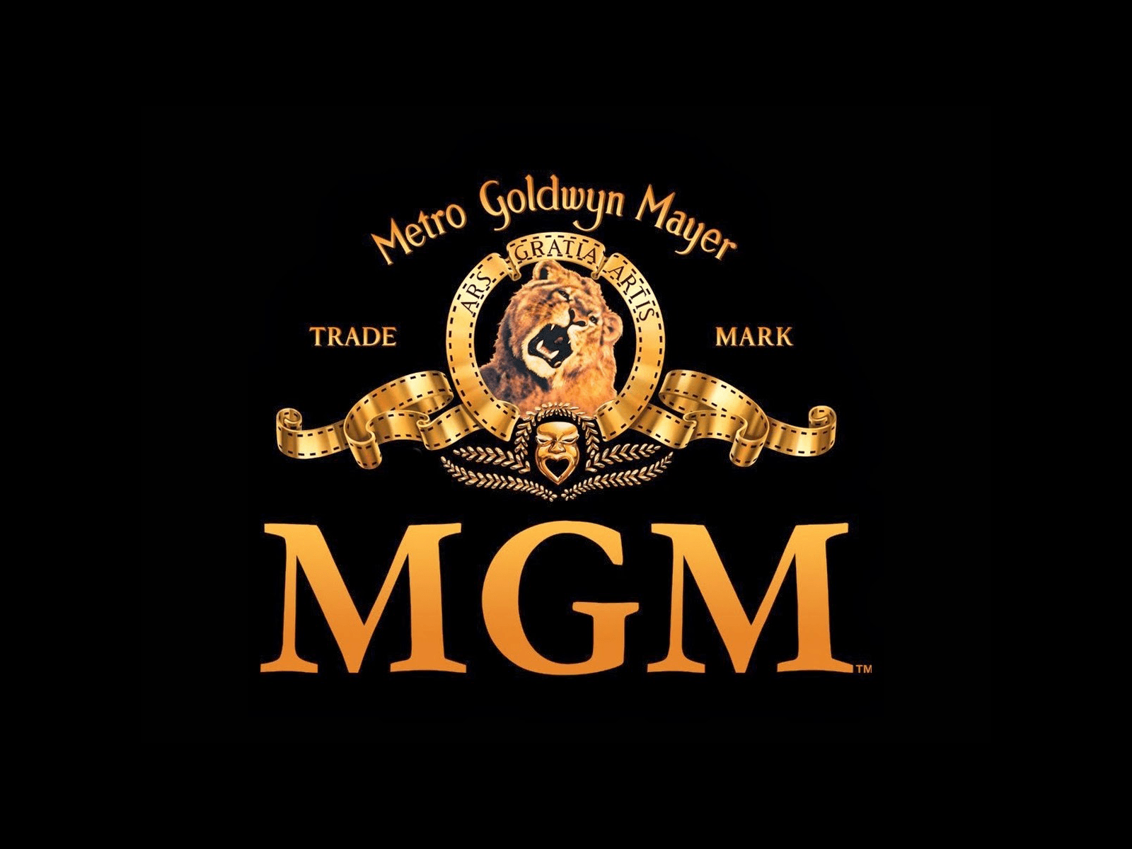 Mgm Holdings Wallpapers