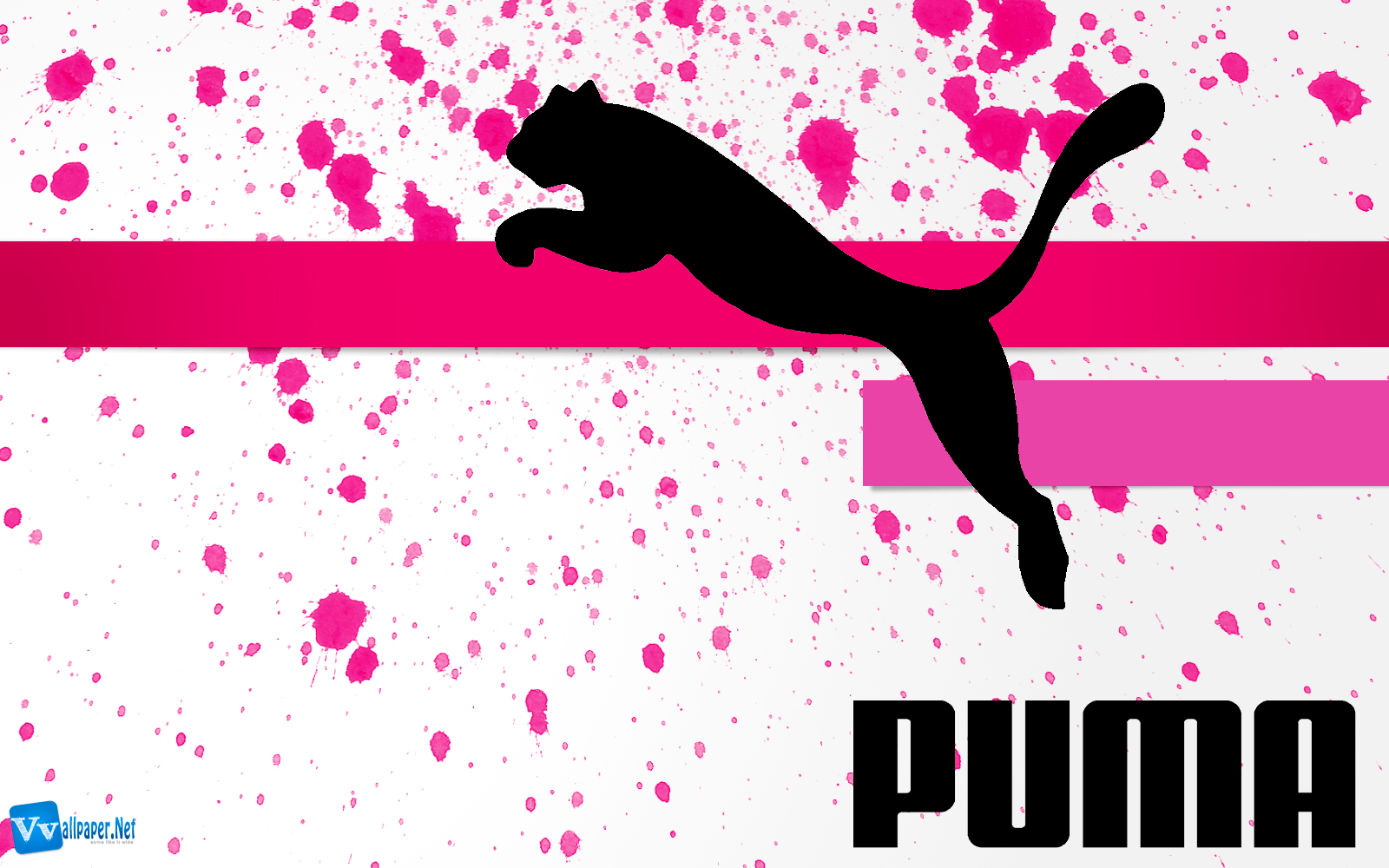 Puma Wallpapers