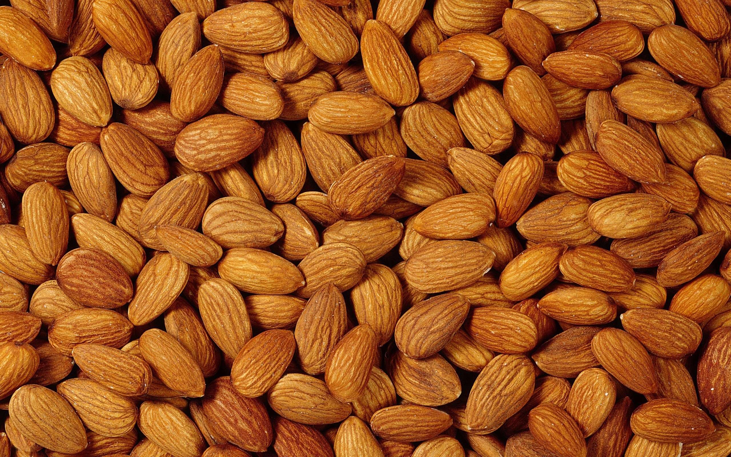 Almond Wallpapers