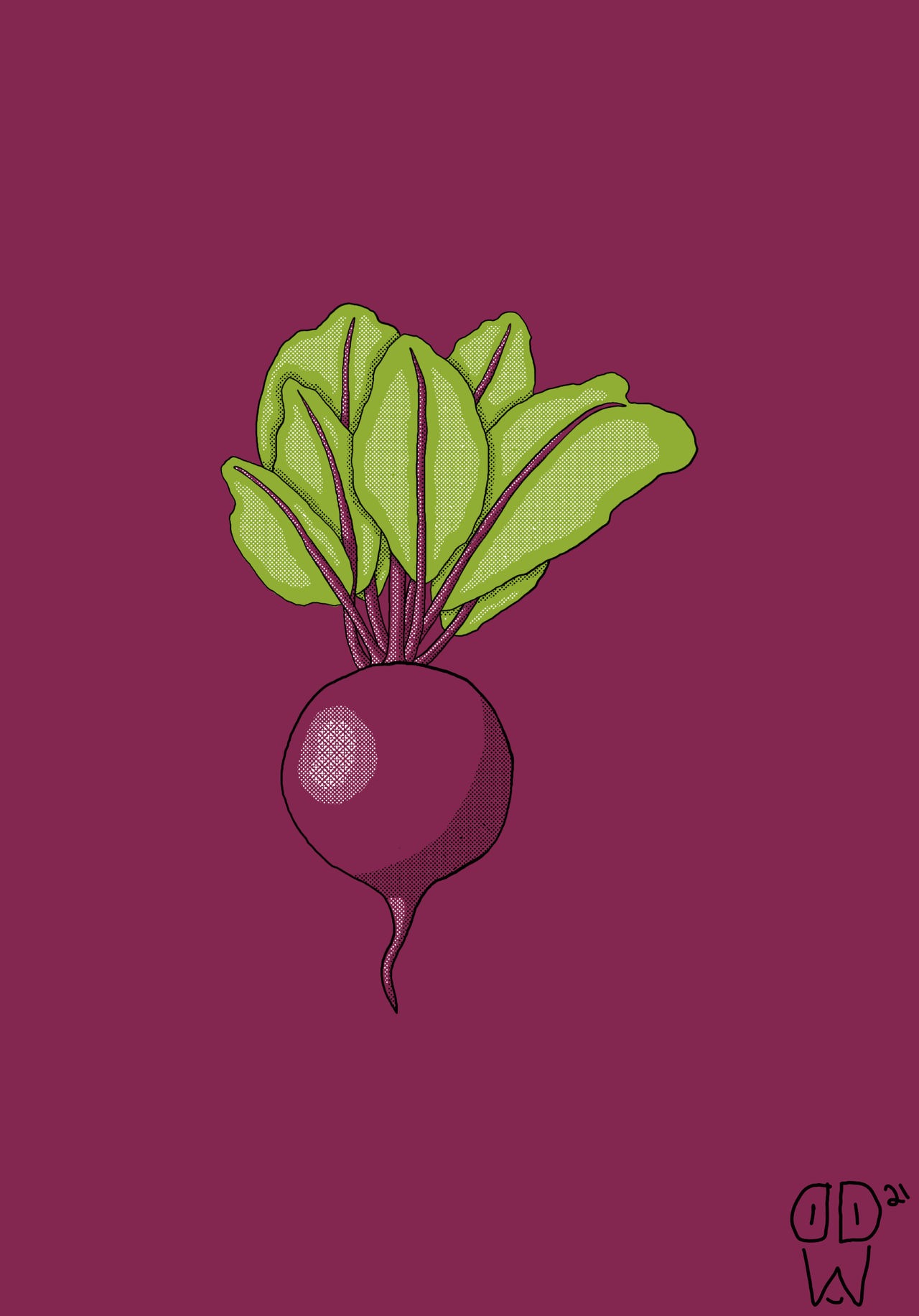 Beet Wallpapers