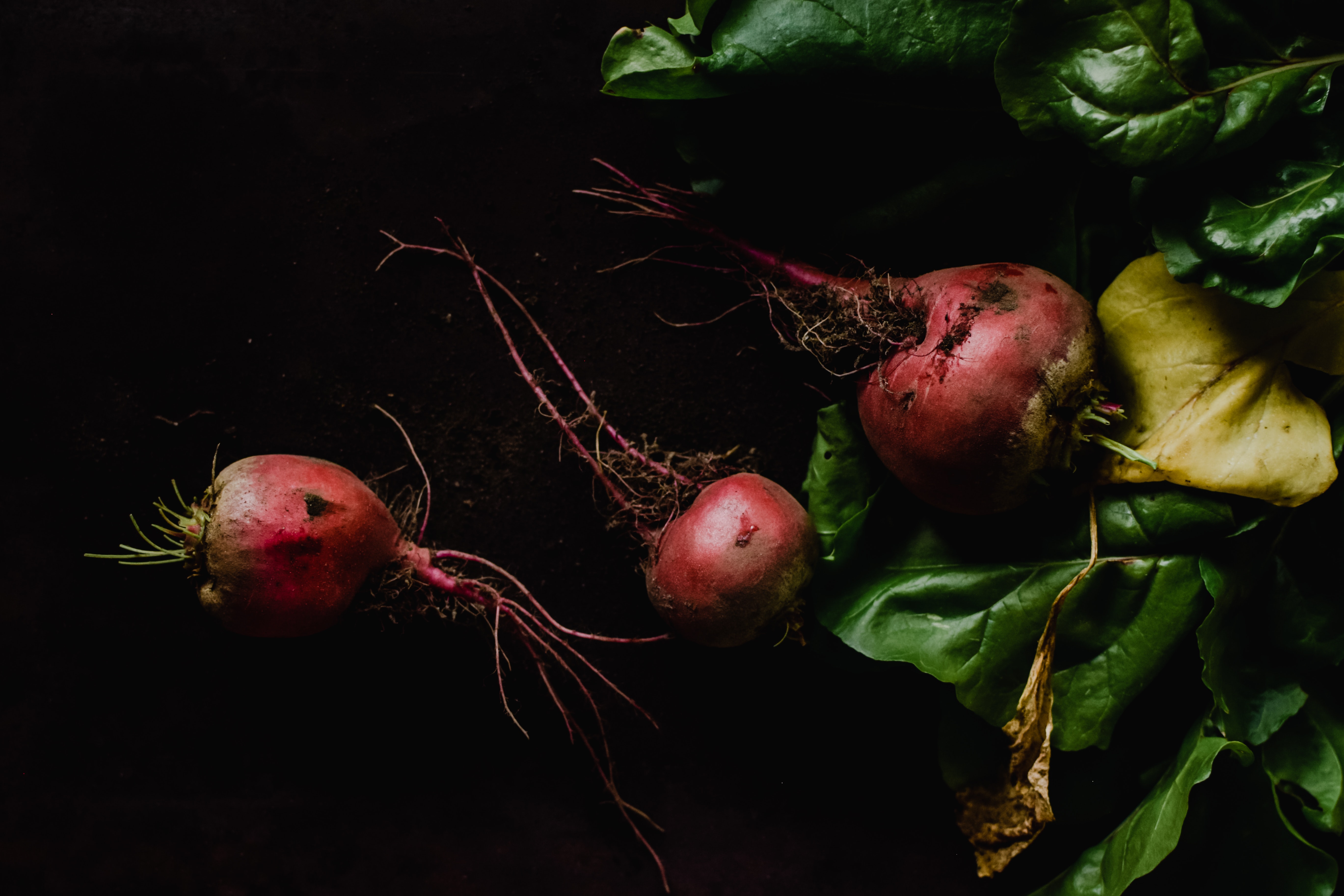 Beet Wallpapers