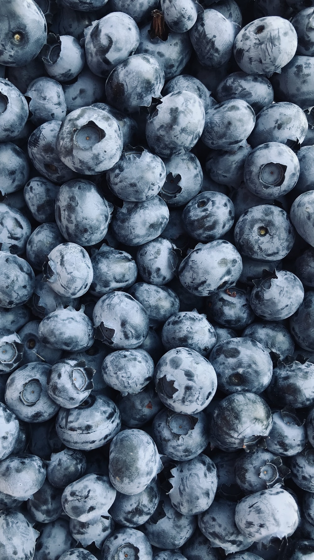 Blueberry Wallpapers