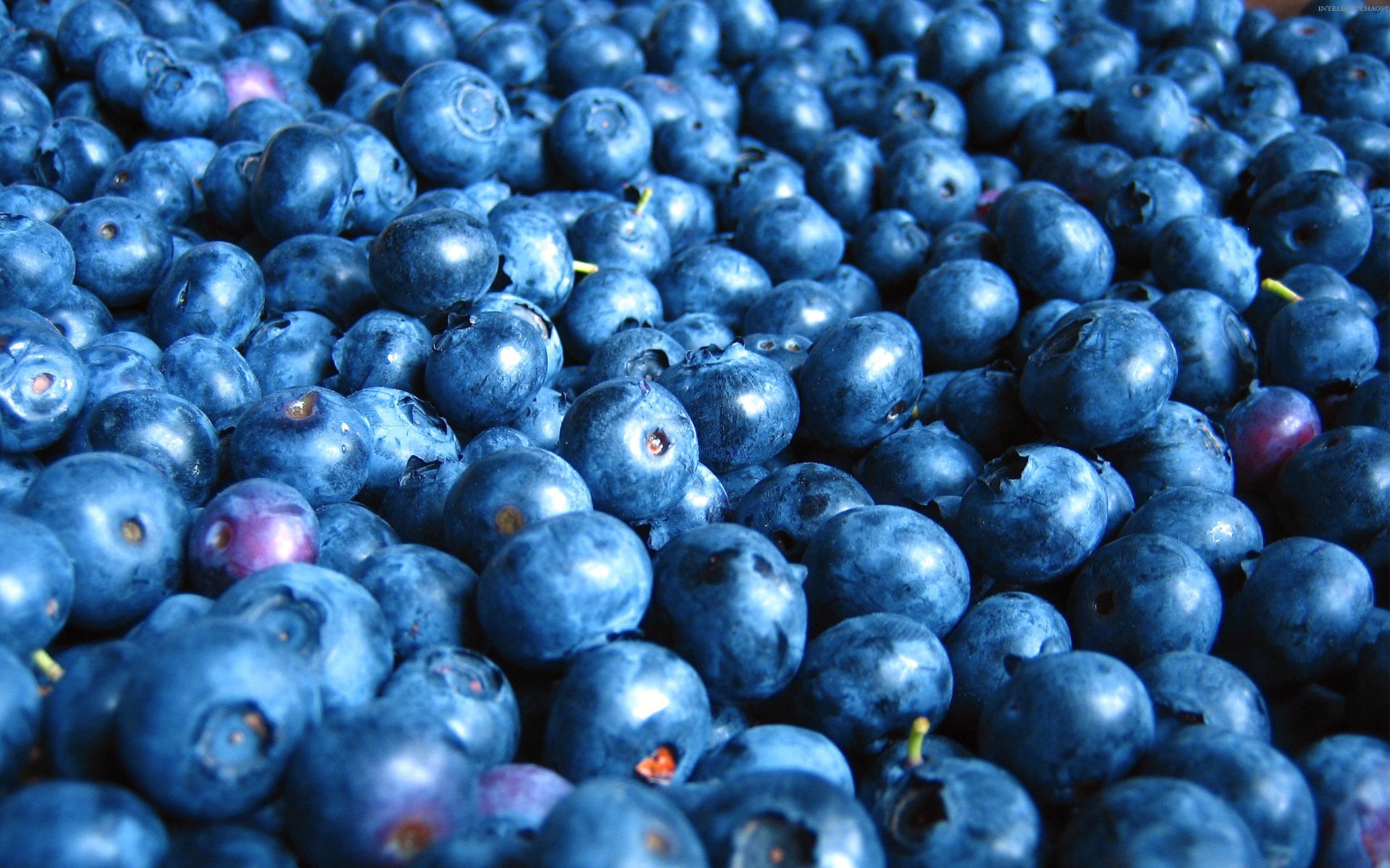 Blueberry Wallpapers