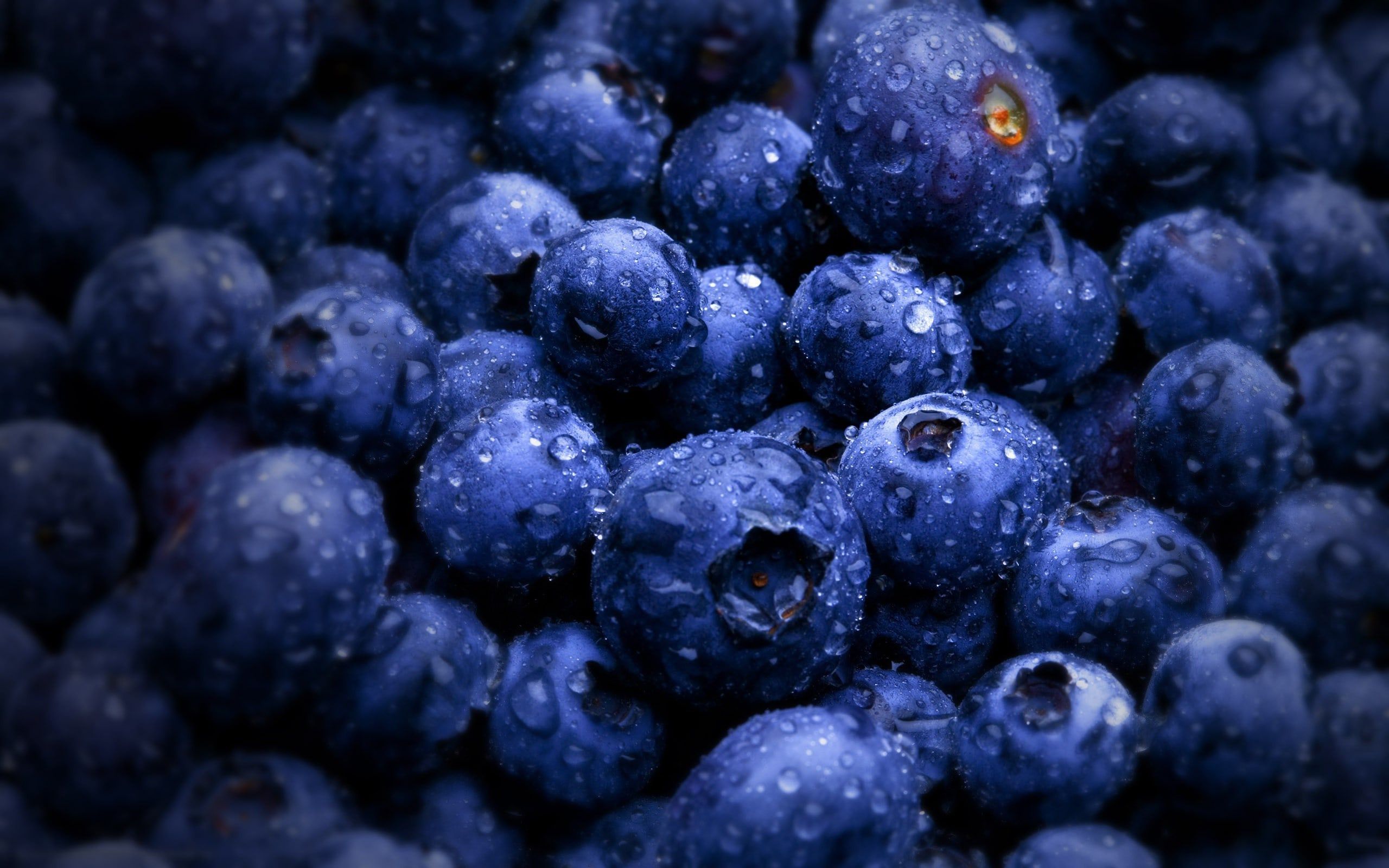 Blueberry Wallpapers