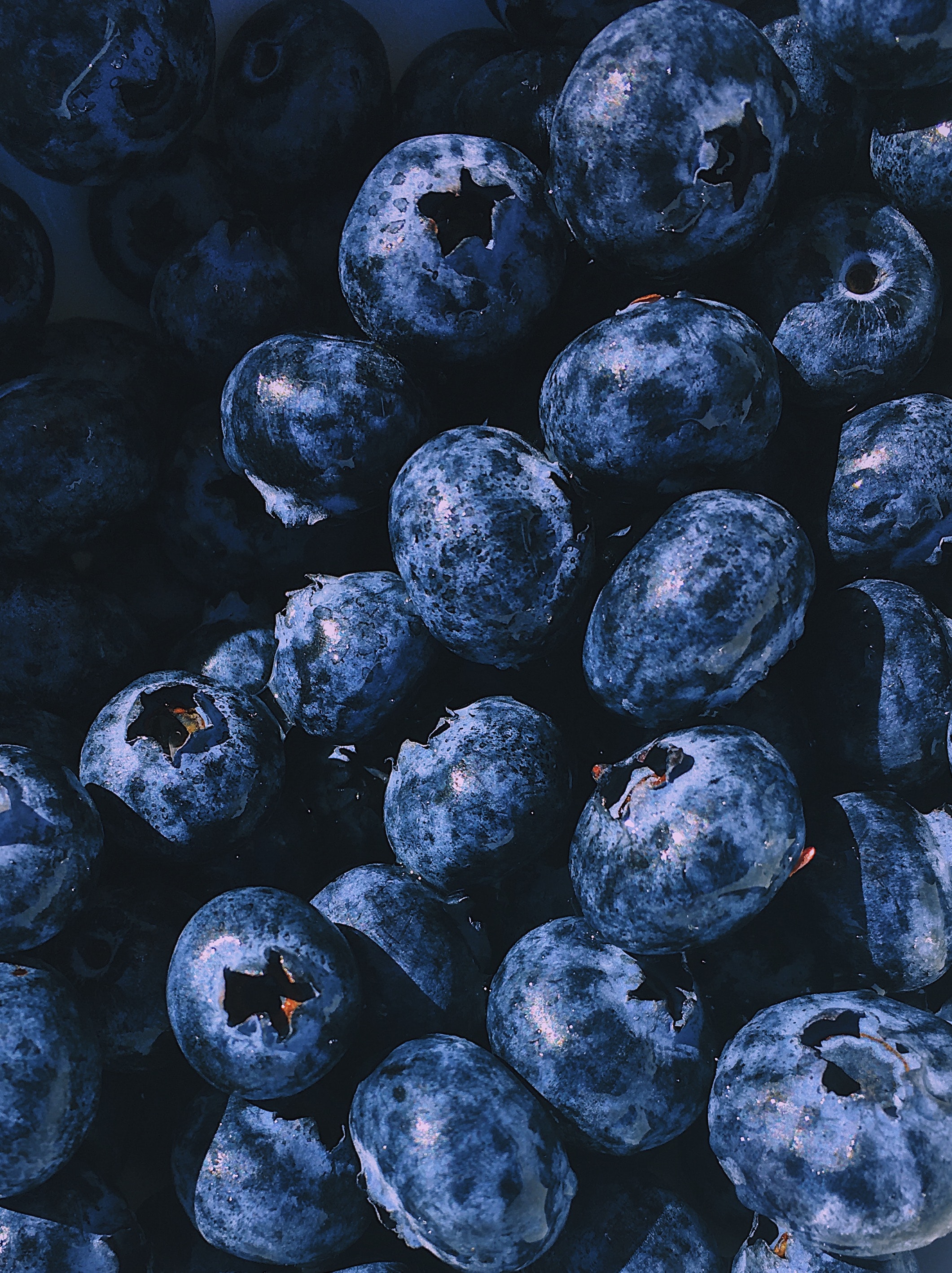 Blueberry Wallpapers