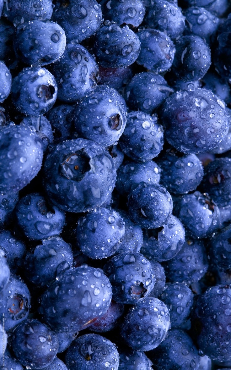 Blueberry Wallpapers