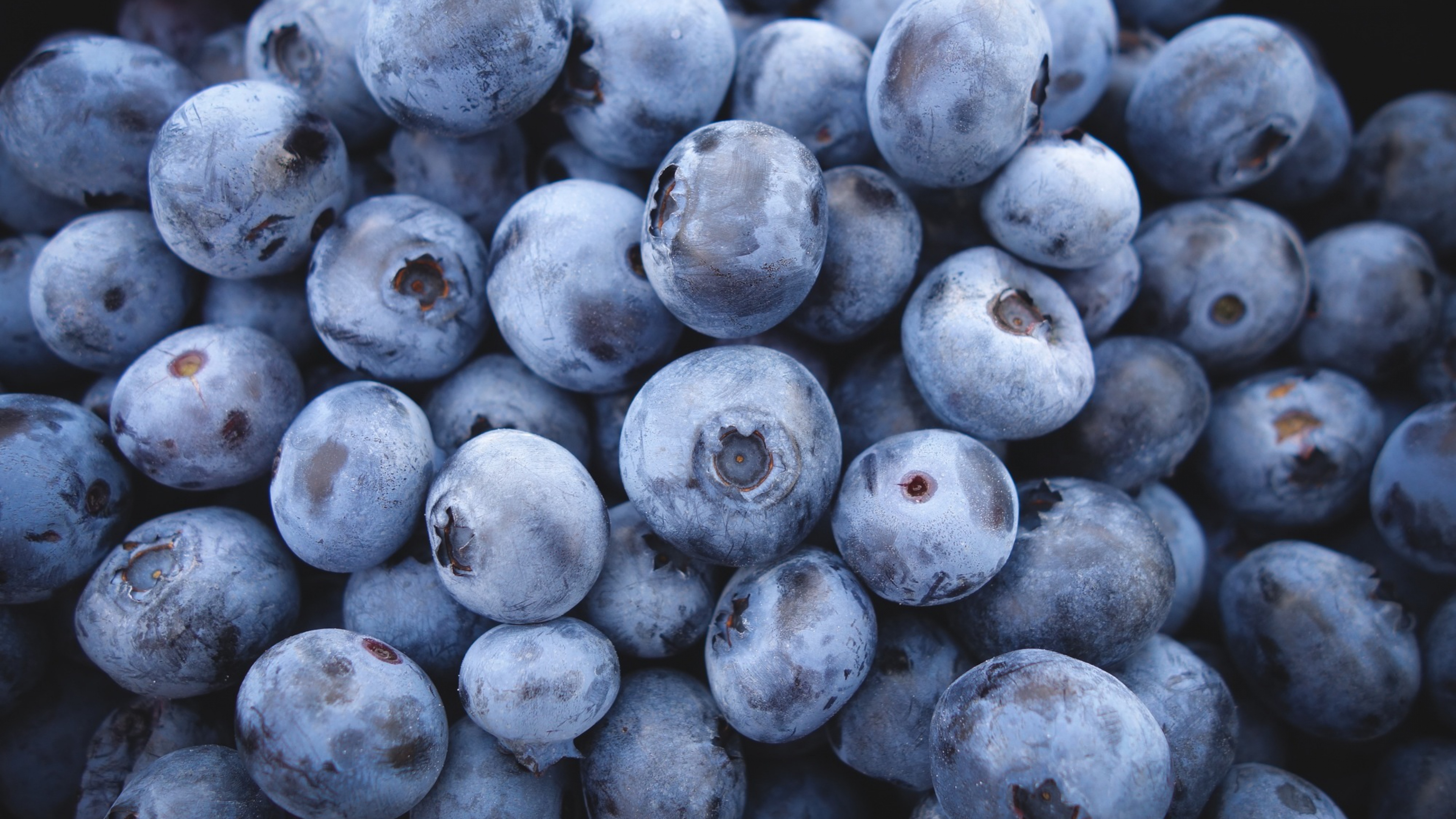 Blueberry Wallpapers