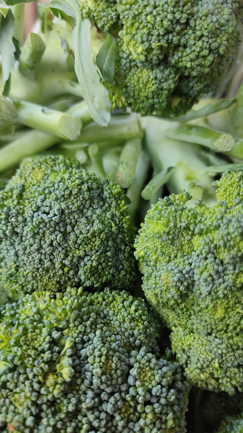 Broccoli Wallpapers