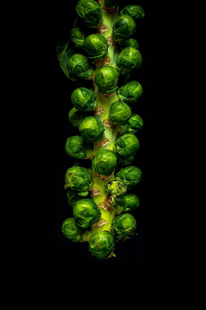 Brussel Sprout Wallpapers