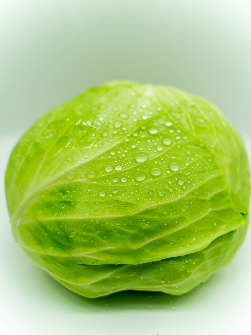 Cabbage Wallpapers