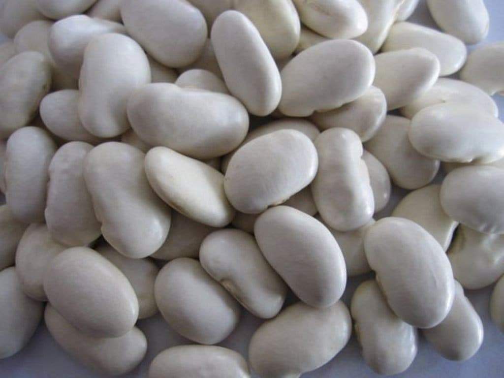 Carrabean Beans Wallpapers