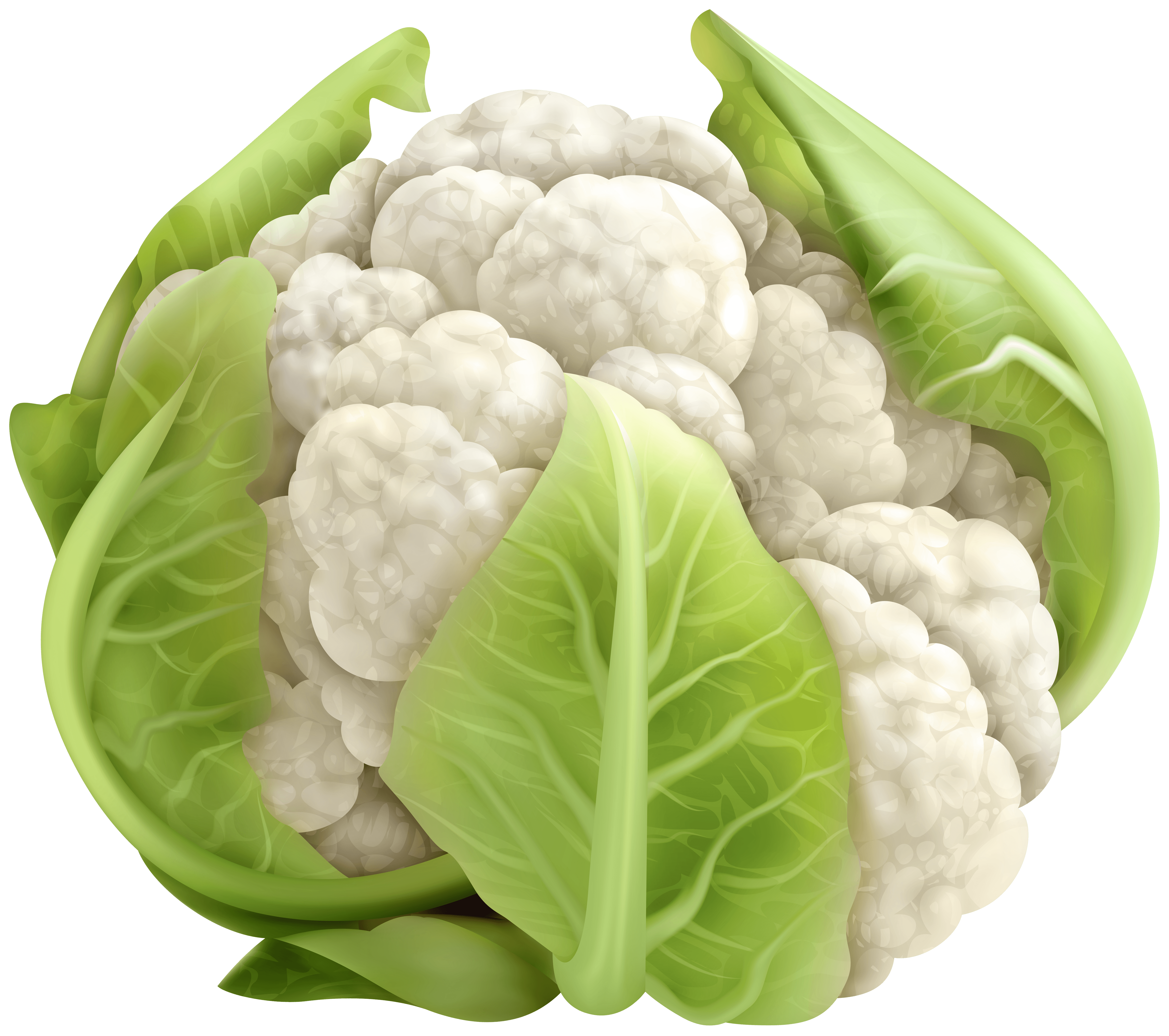 Cauliflower Wallpapers