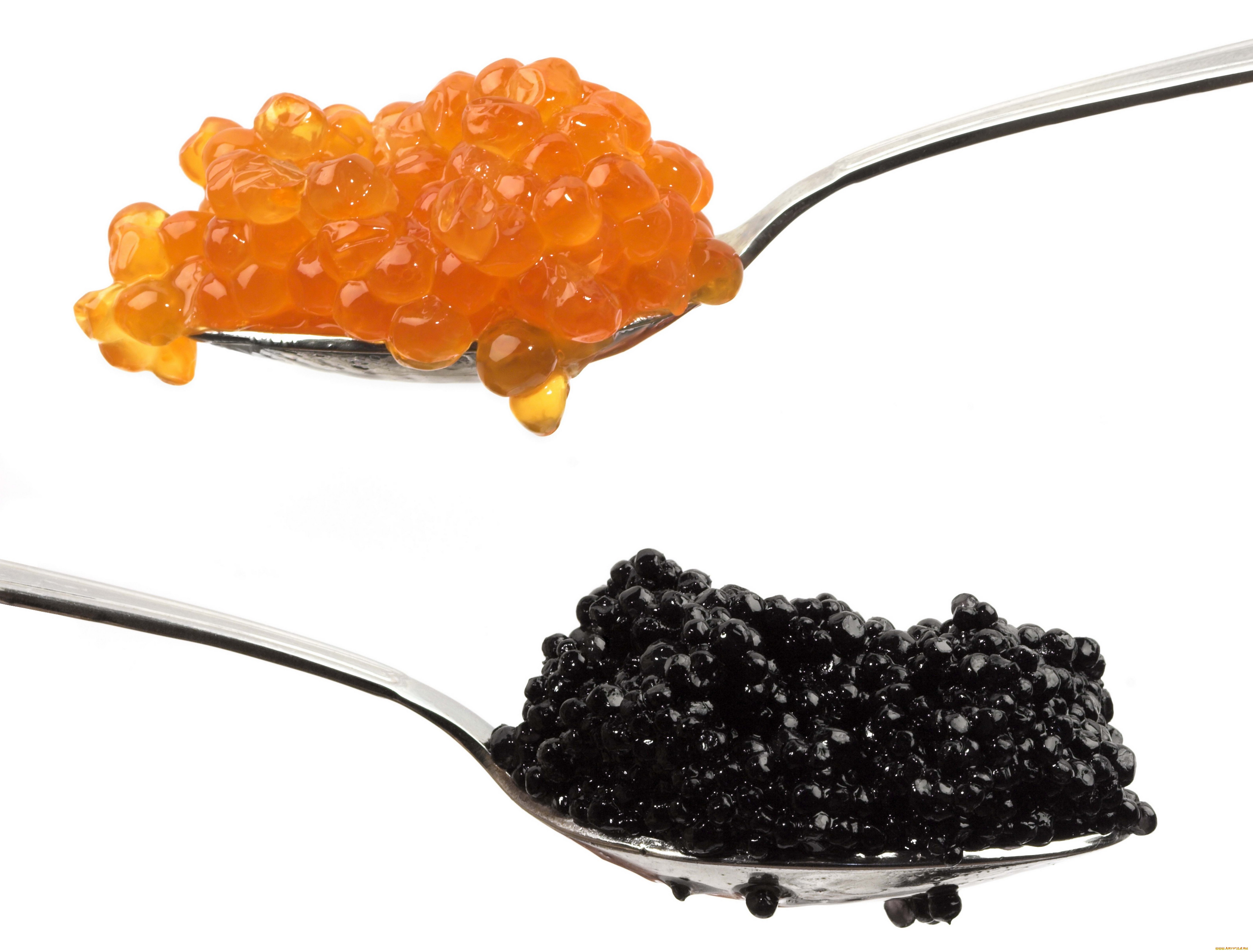 Caviar Wallpapers