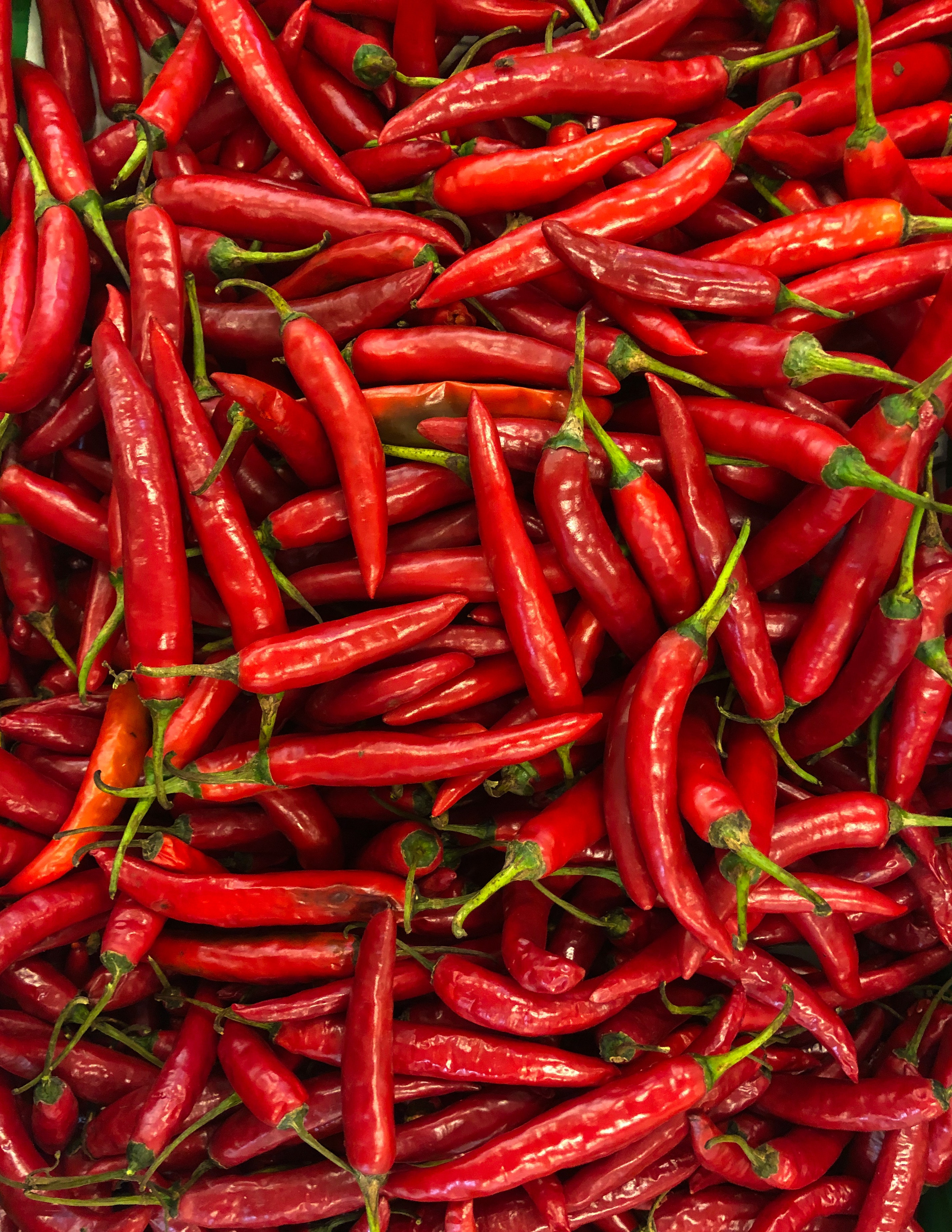 Chili Wallpapers